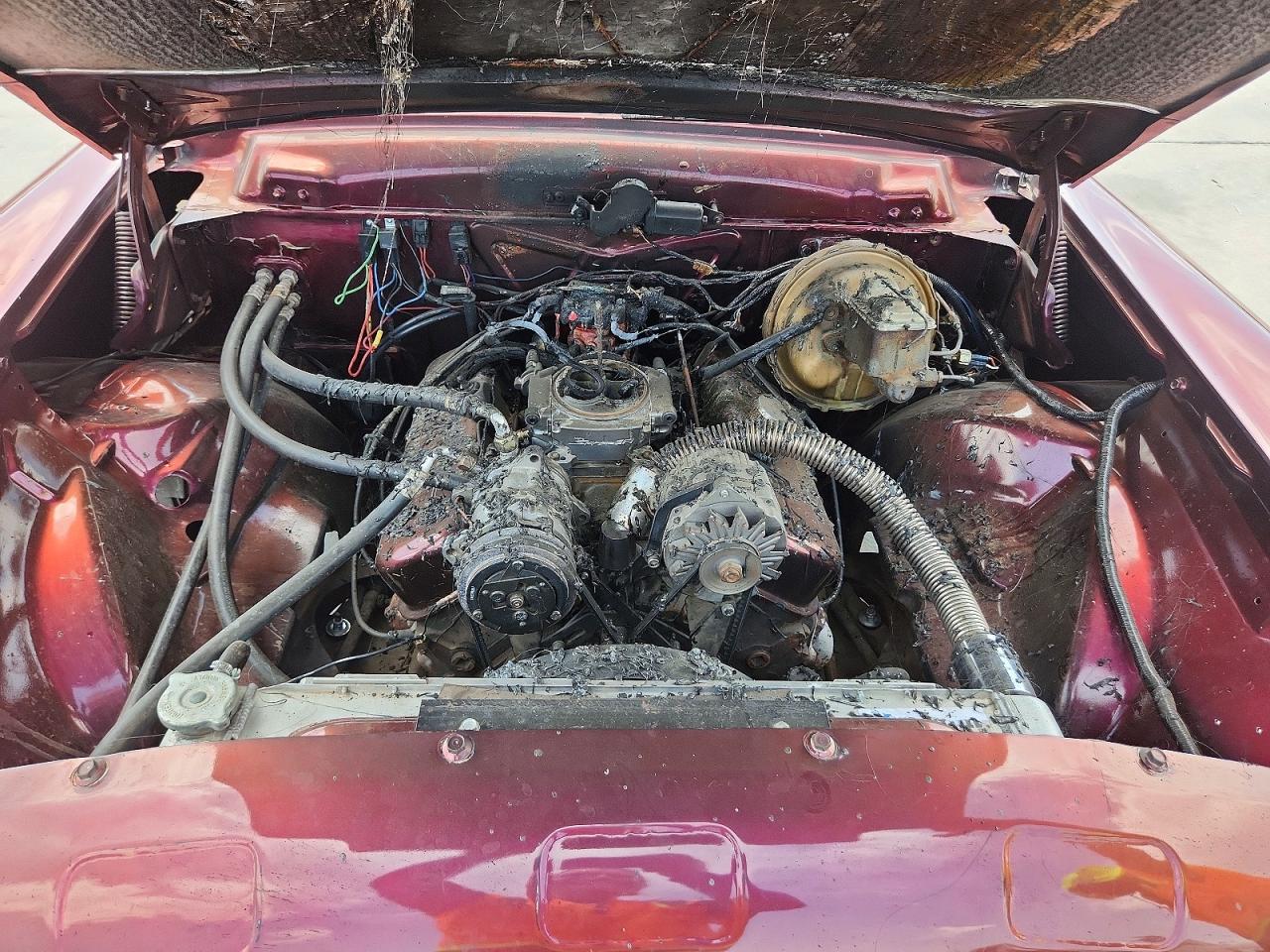 1956 Lincoln Premier Красный vin: 000000056WA20786L