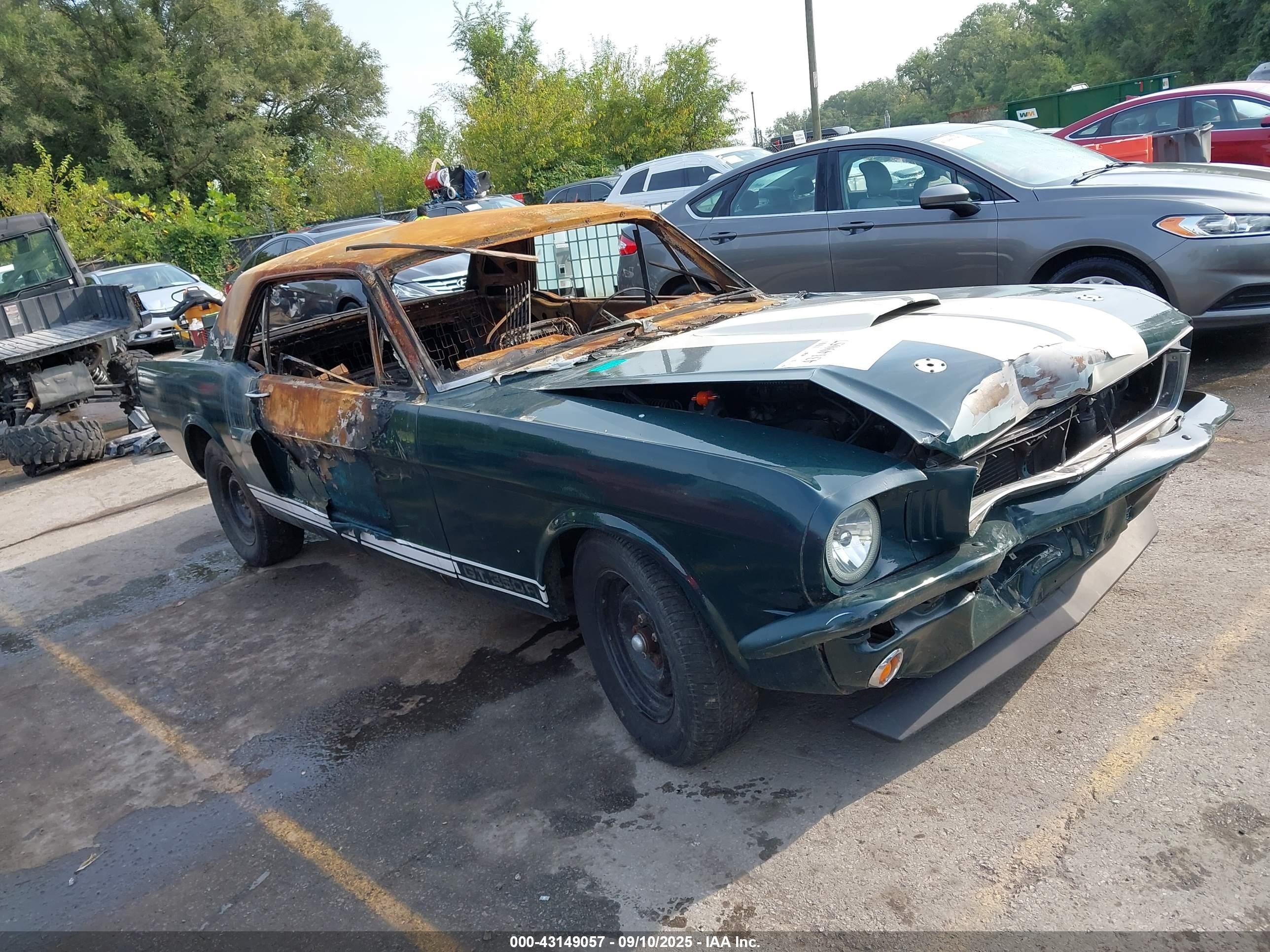1970 Ford Mustang Зеленый vin: 0000006F07C365902