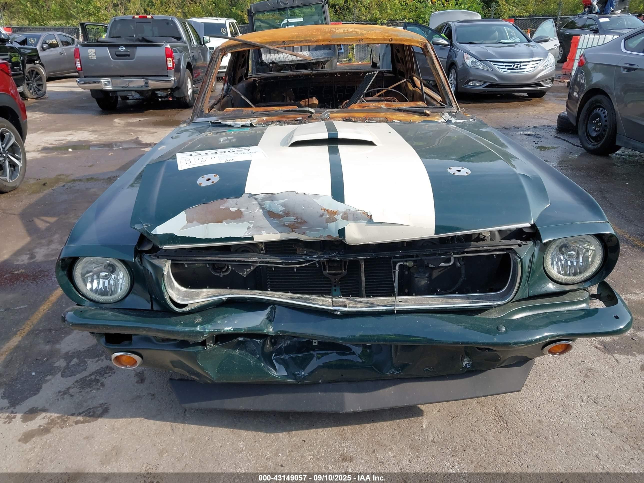 1970 Ford Mustang Зеленый vin: 0000006F07C365902