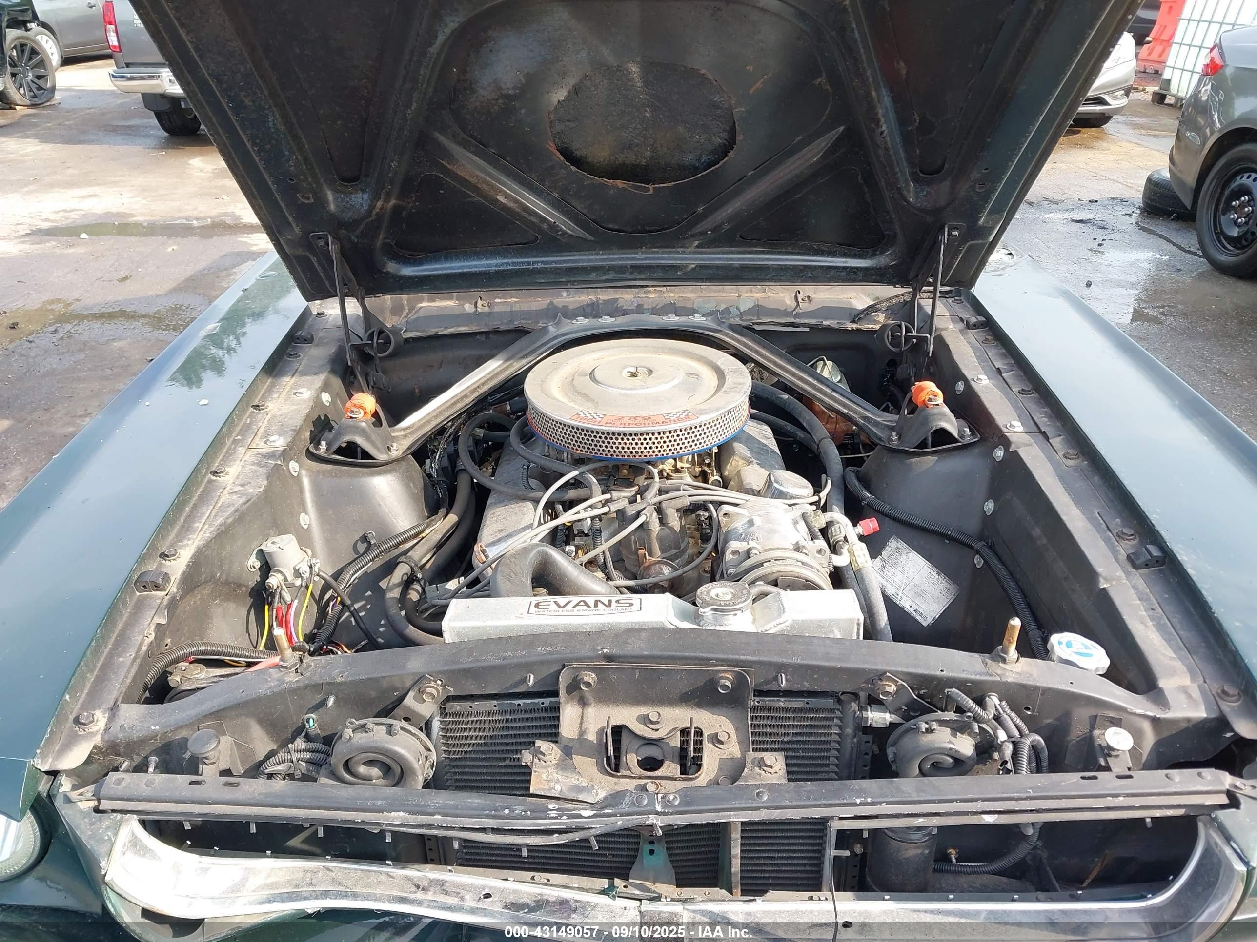 1970 Ford Mustang Зеленый vin: 0000006F07C365902