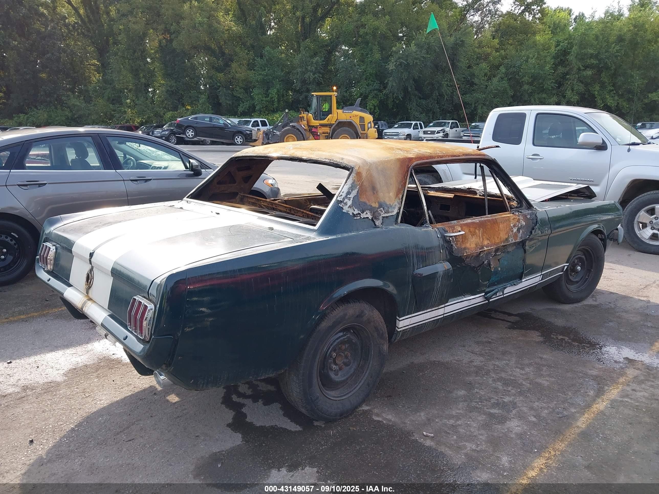 1970 Ford Mustang Зеленый vin: 0000006F07C365902