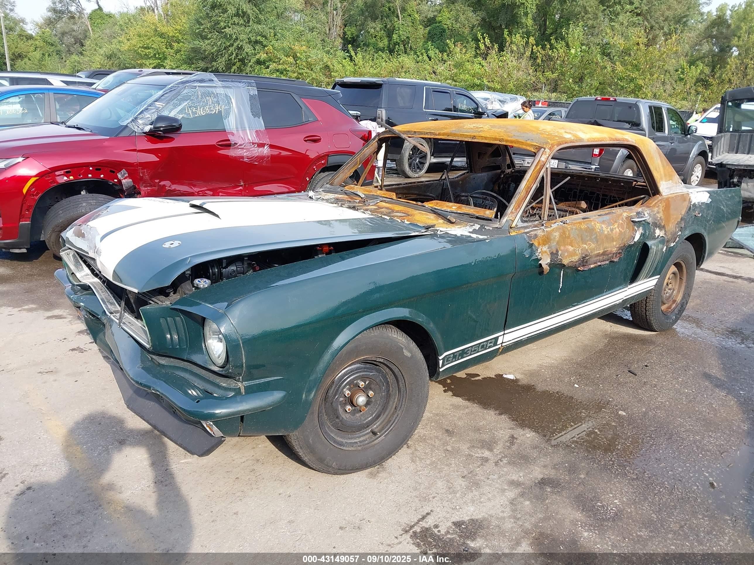 1970 Ford Mustang Зеленый vin: 0000006F07C365902