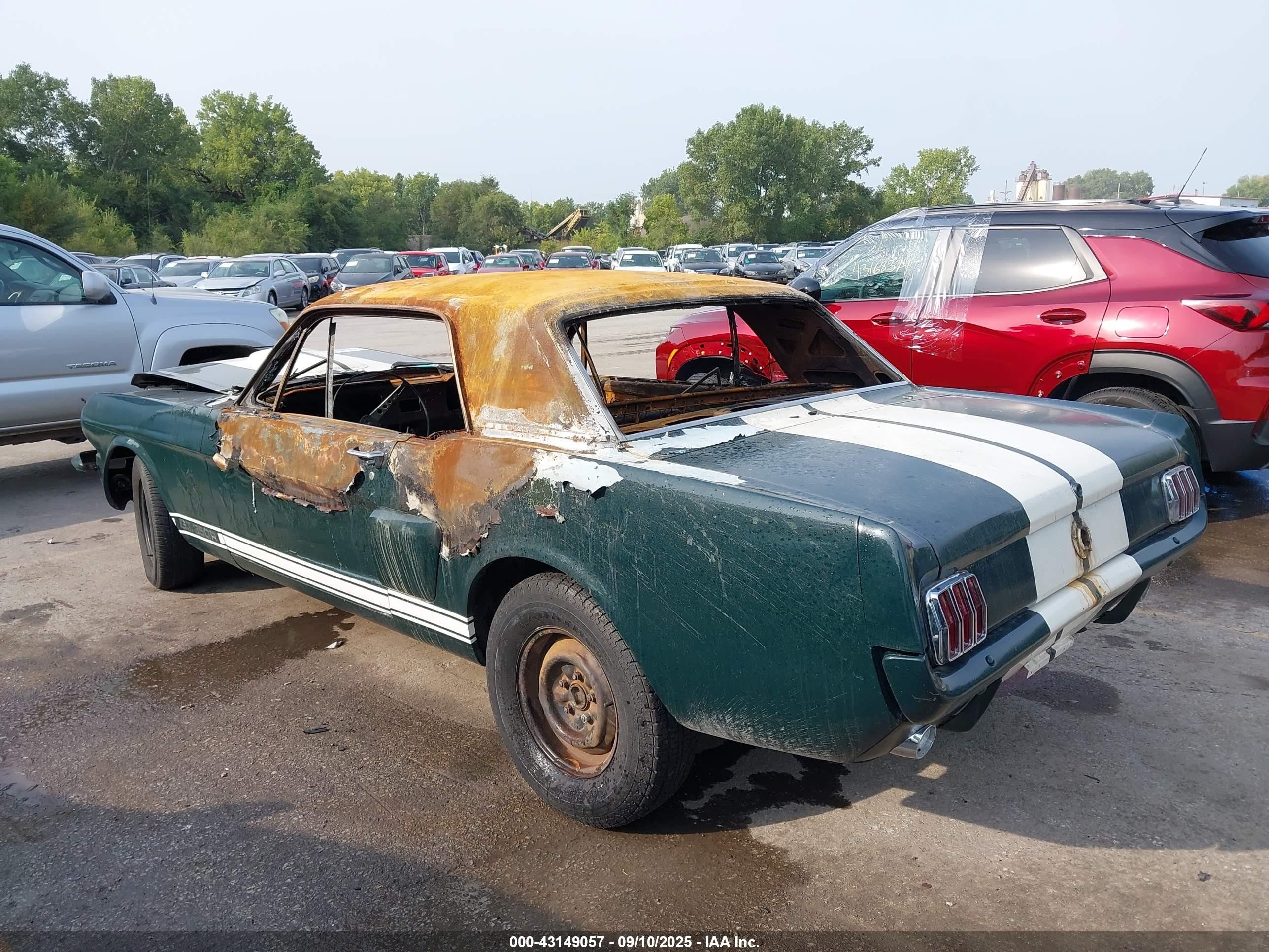 1970 Ford Mustang Зеленый vin: 0000006F07C365902