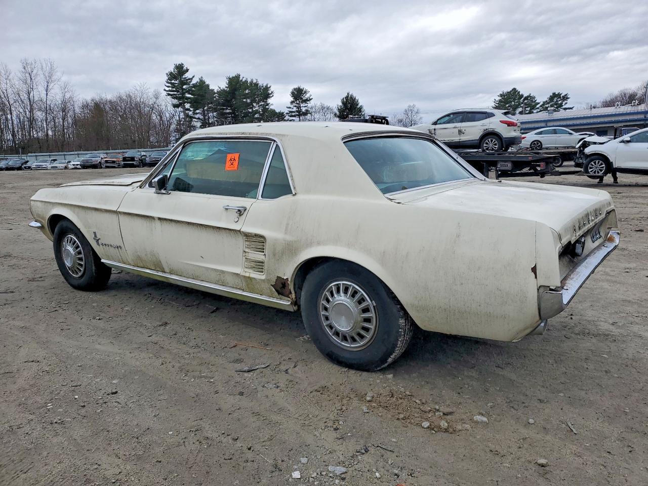 1967 Ford Mustang Beige vin: 0000007R01C113697