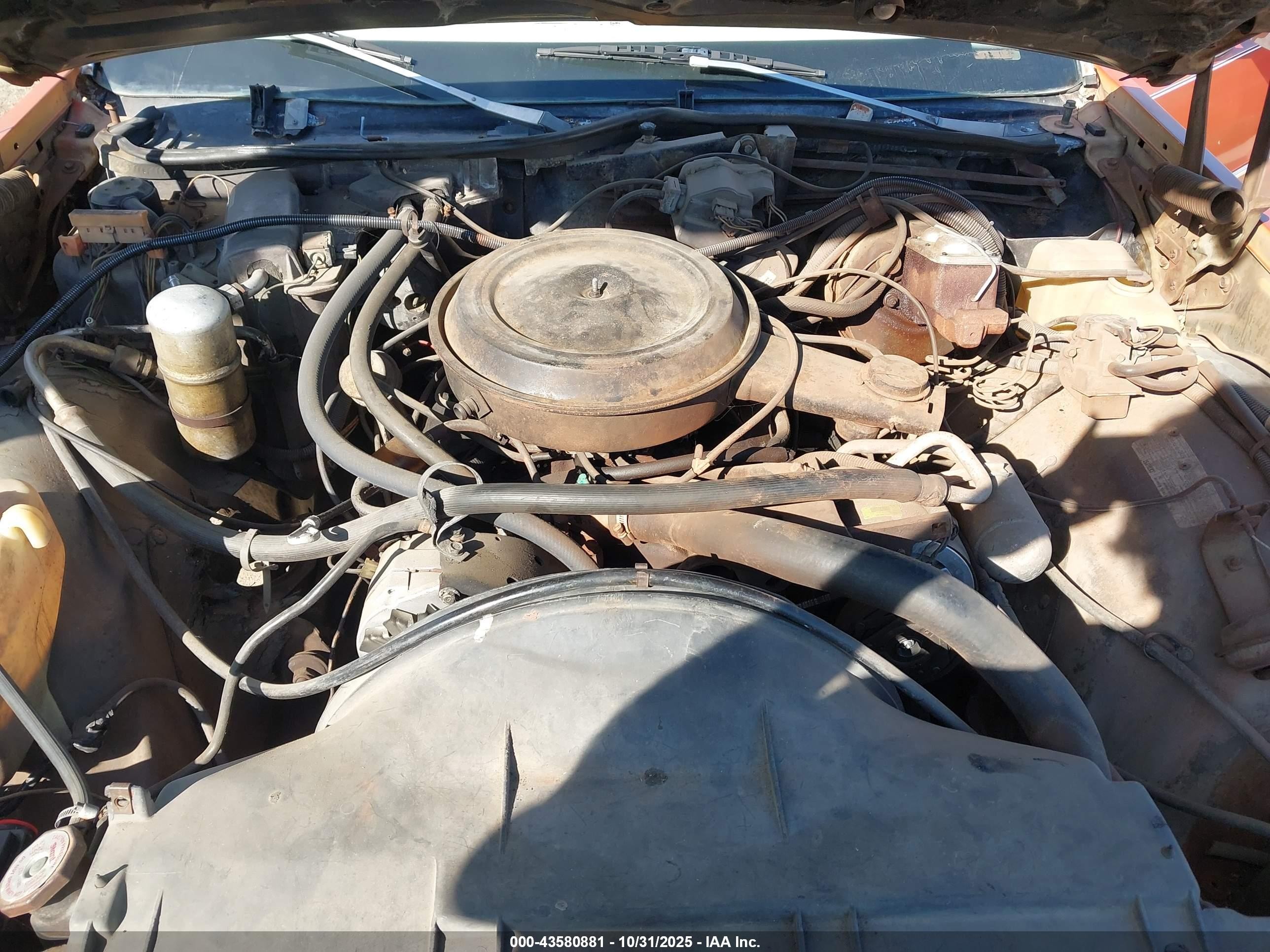 1977 Chevrolet Caprice   Orange vin: 00001N69L7S211531