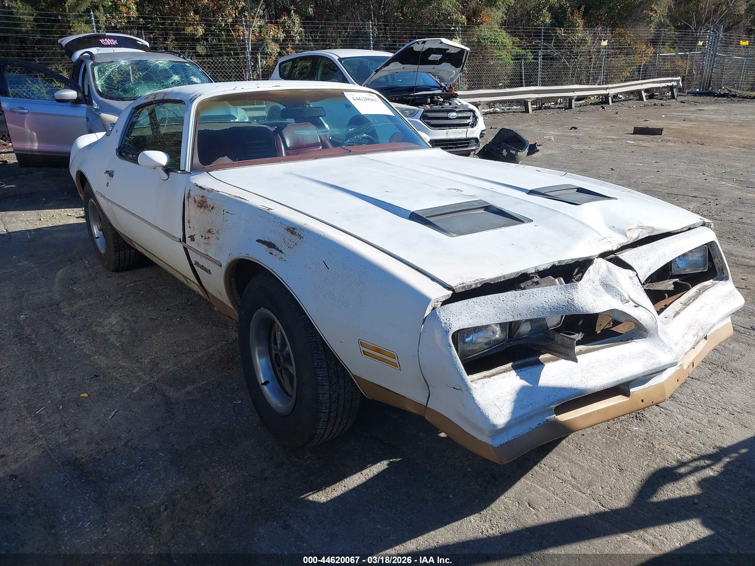 1978 Pontiac Firebird   White vin: 00002U87Z8N146985