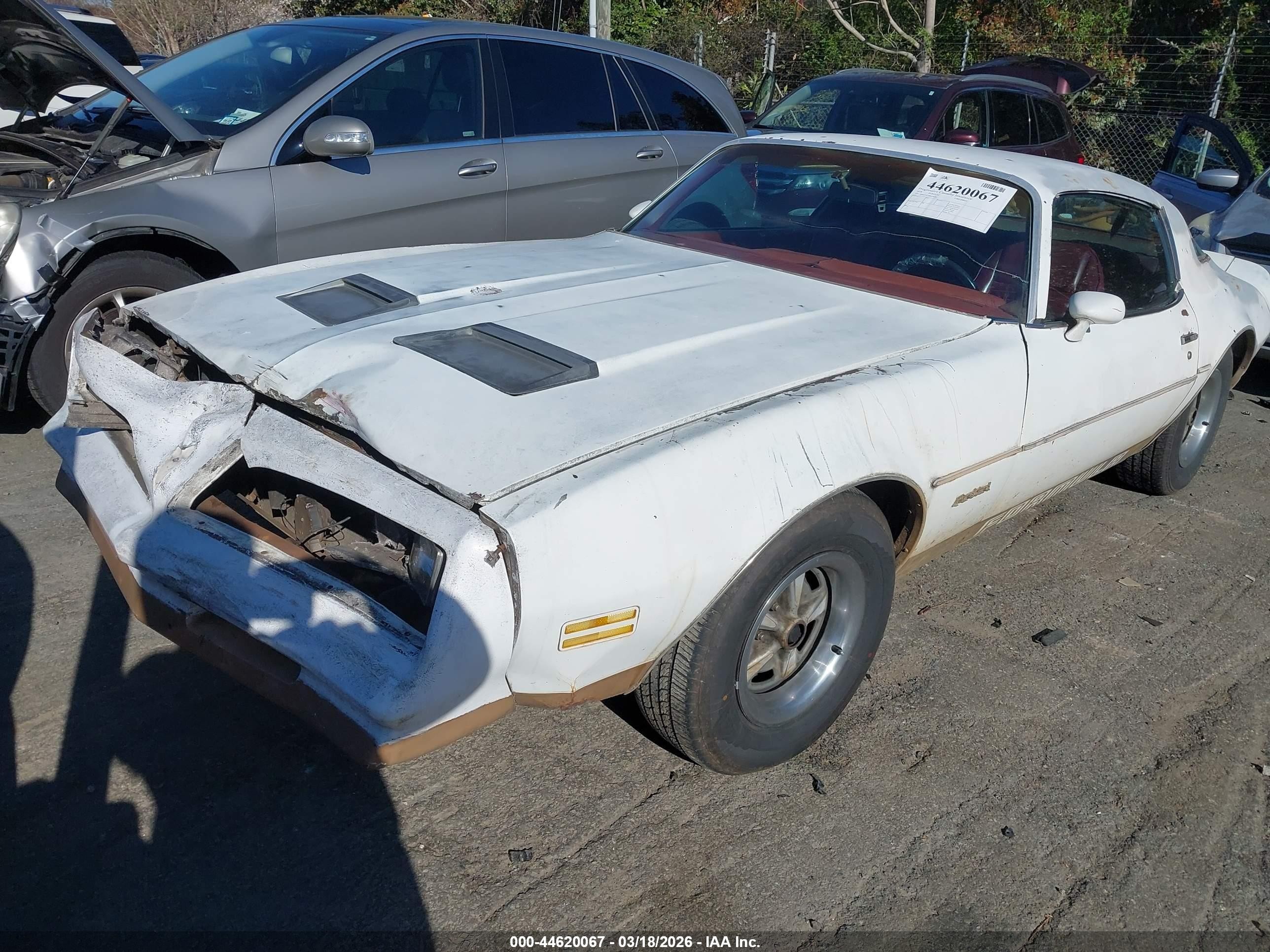 1978 Pontiac Firebird   White vin: 00002U87Z8N146985