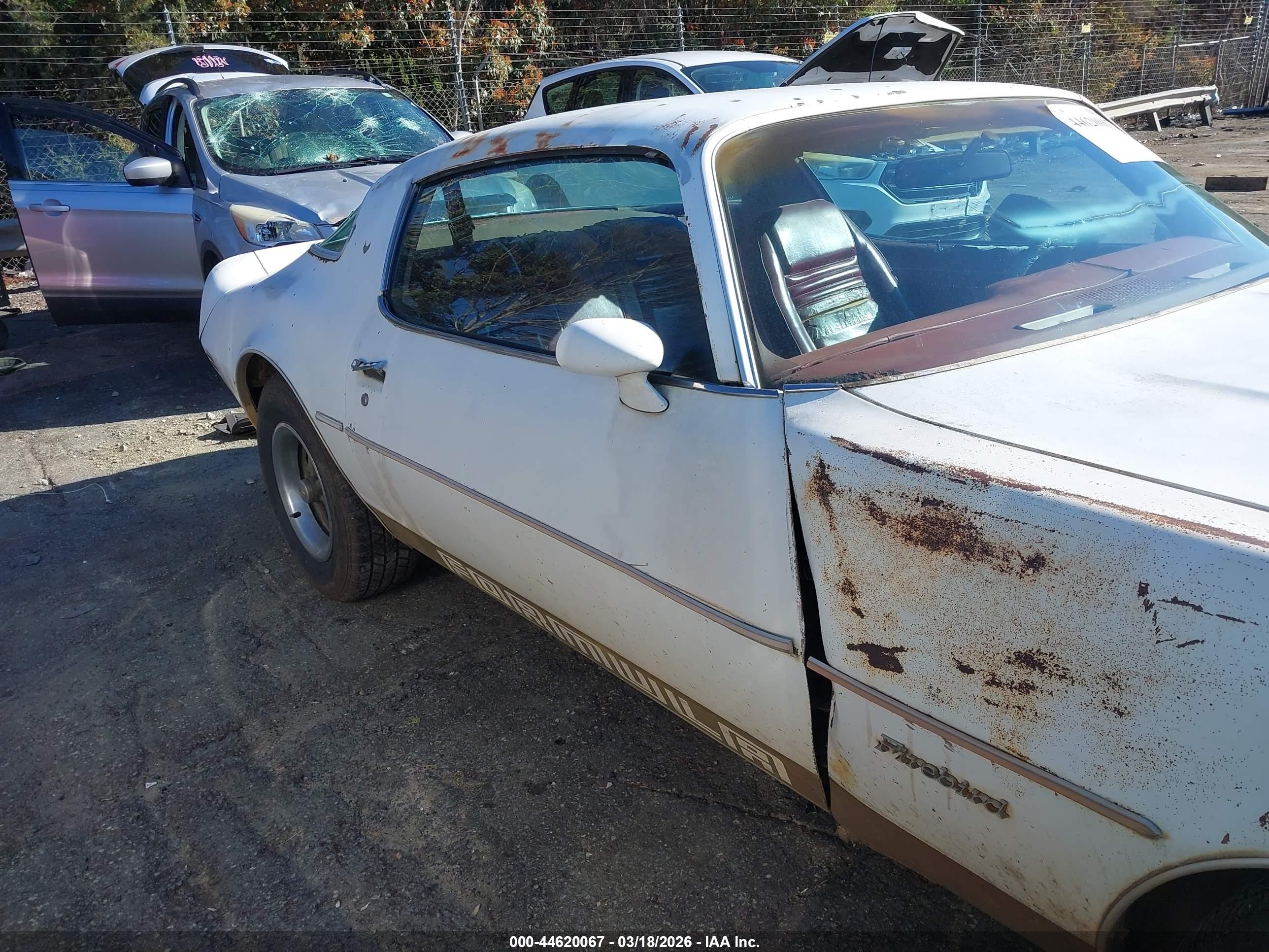 1978 Pontiac Firebird   White vin: 00002U87Z8N146985