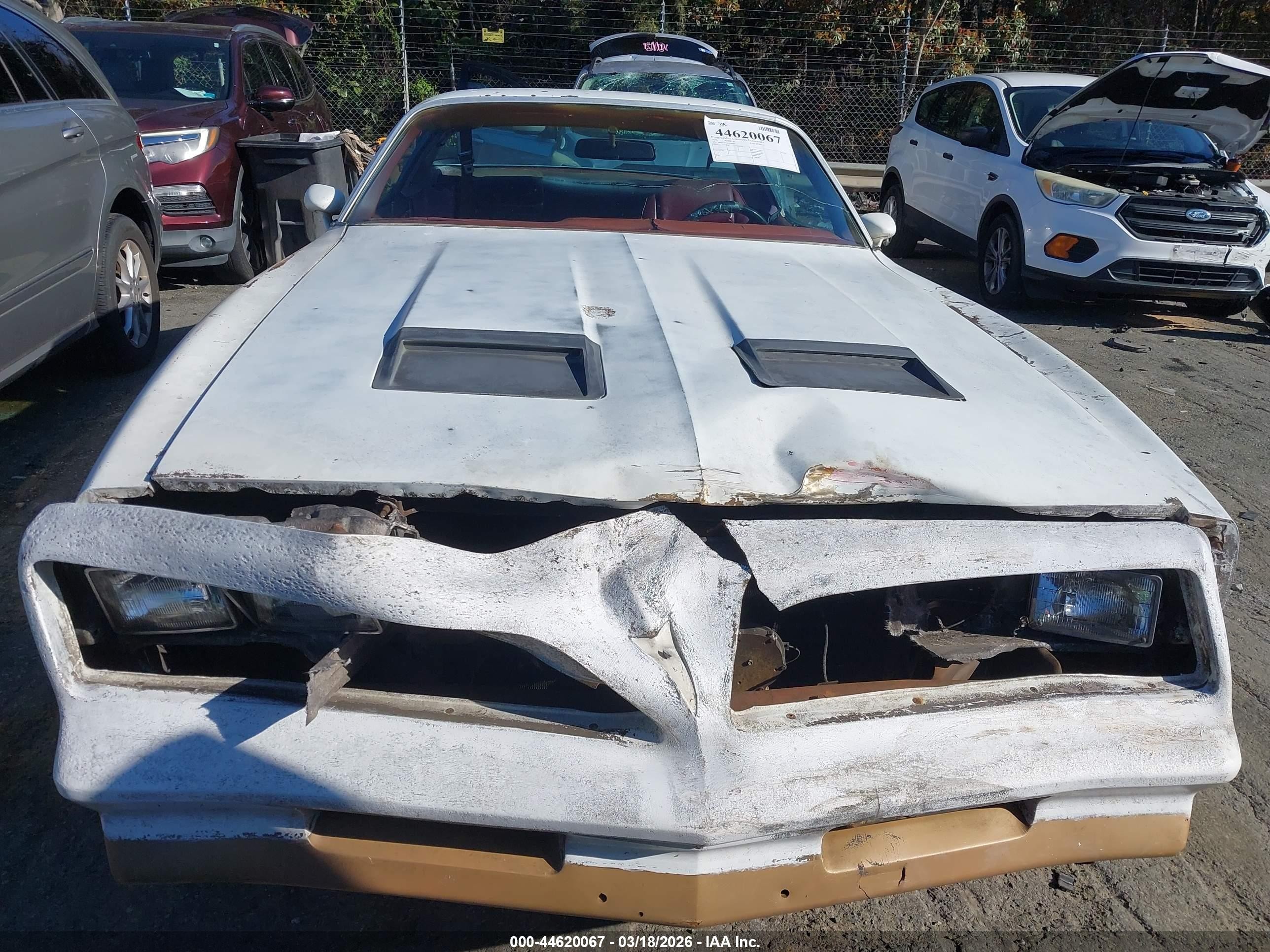 1978 Pontiac Firebird   White vin: 00002U87Z8N146985