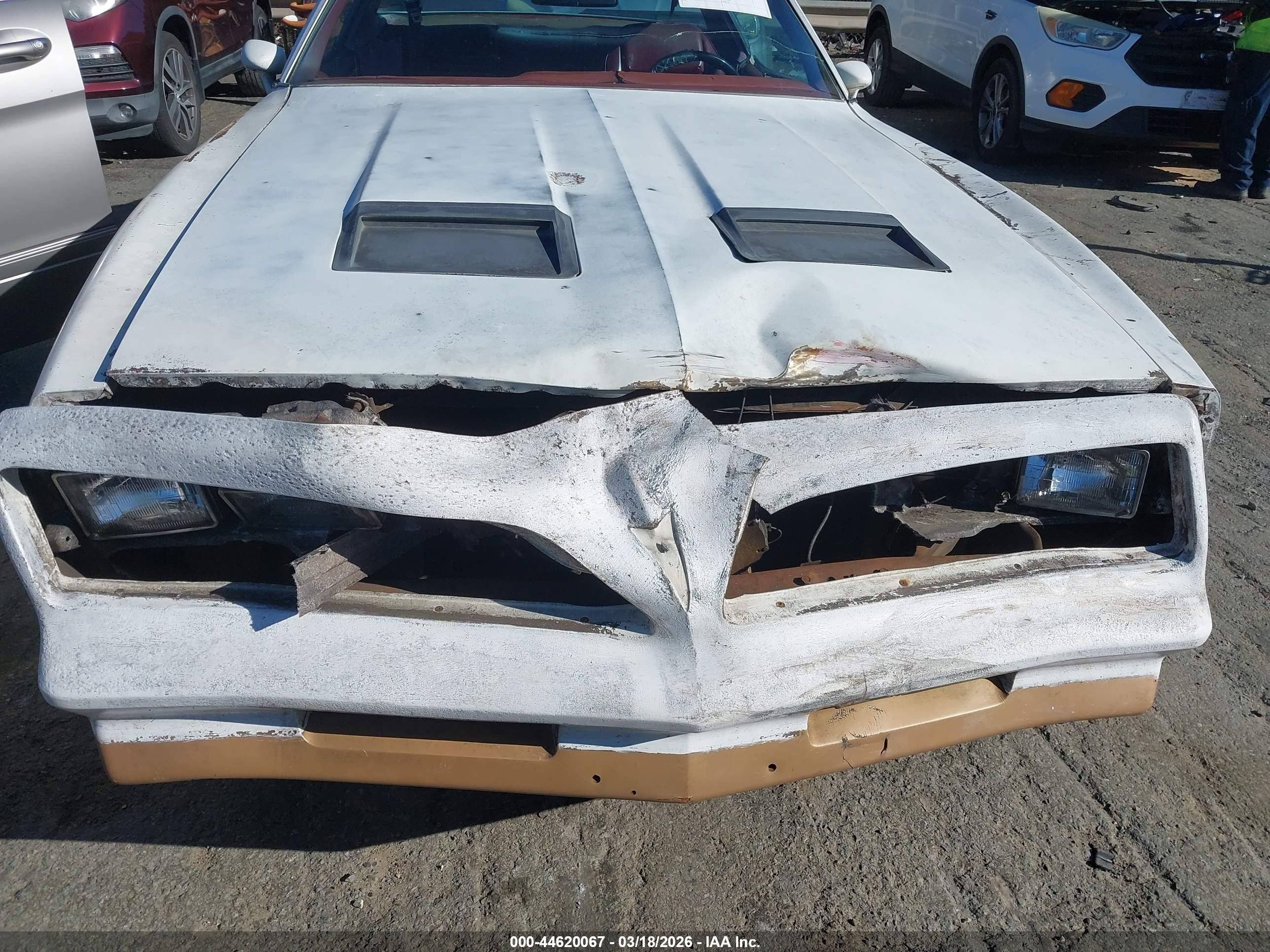 1978 Pontiac Firebird   White vin: 00002U87Z8N146985