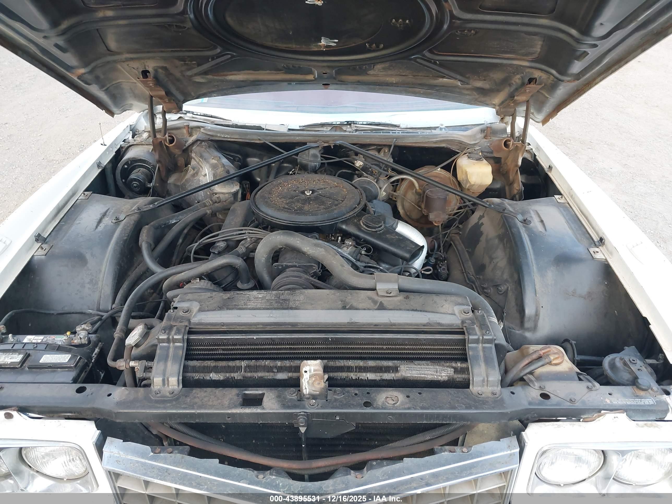 1973 Cadillac Eldorado   Белый vin: 00006L67S3Q430539