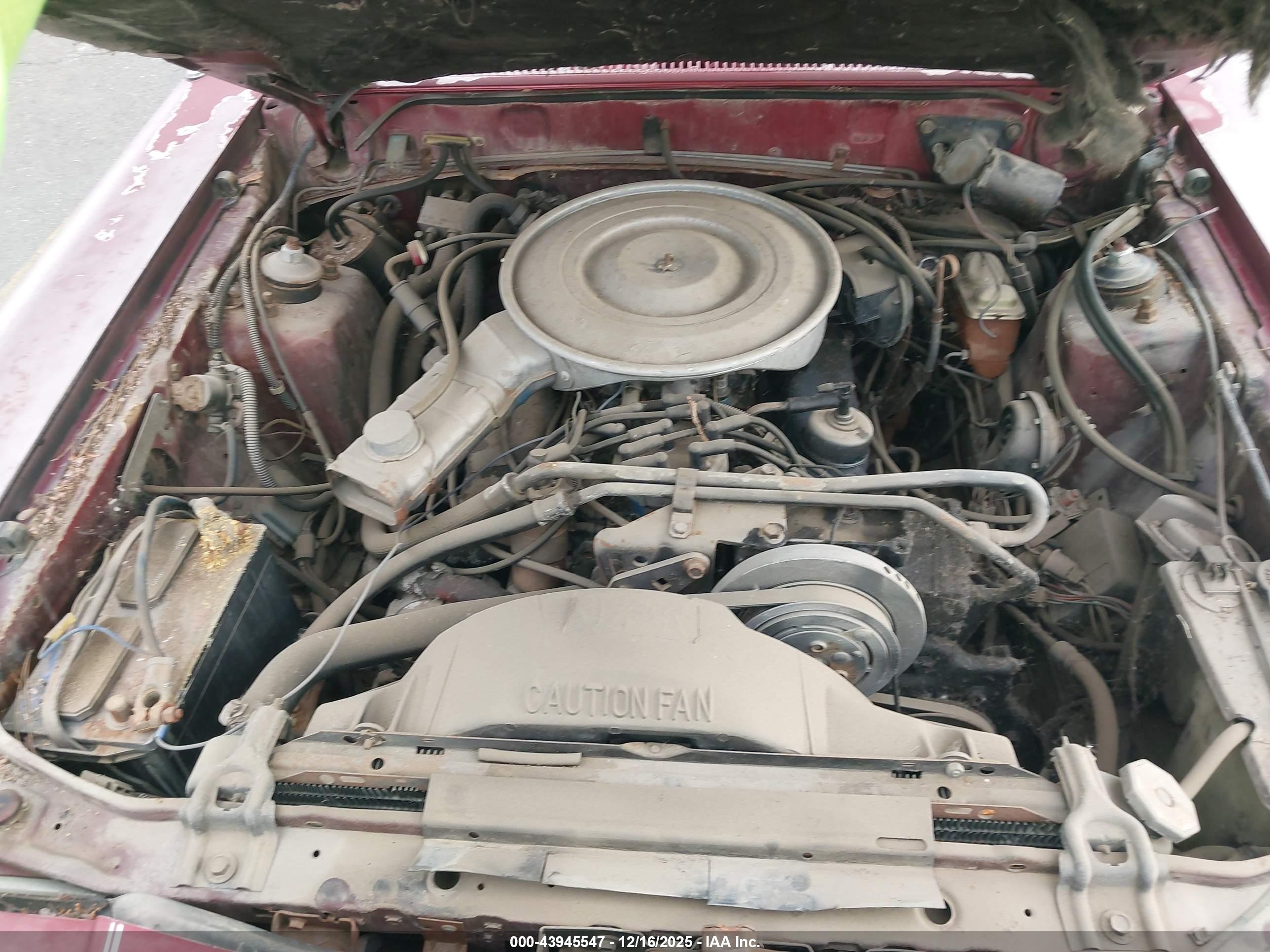 1980 Ford Thunderbird   Красный vin: 0G87F129695      