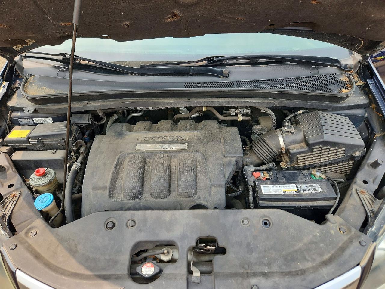 2007 Honda Odyssey Exl Blue vin: 5FNRL38767B057655