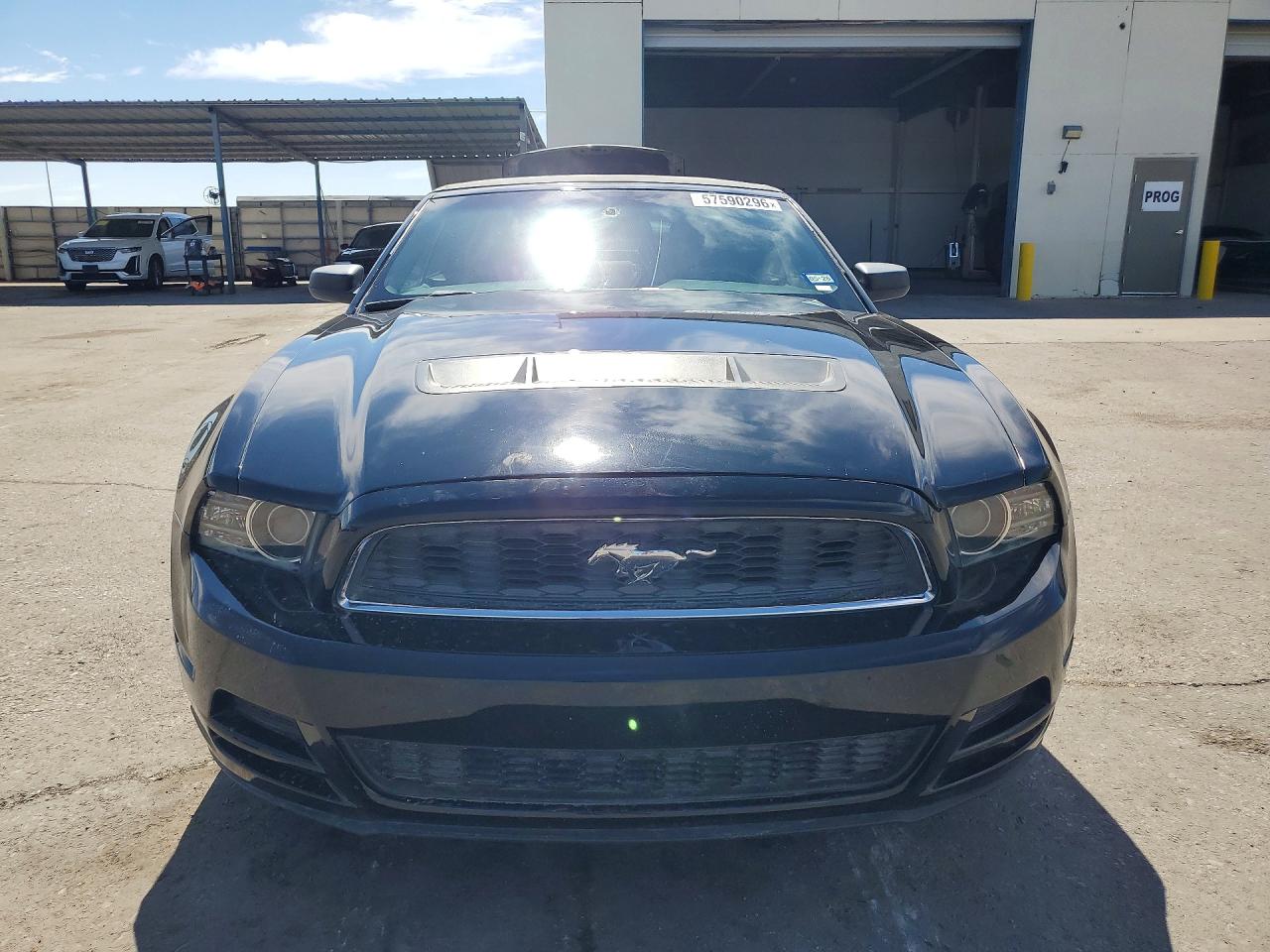 2013 Ford Mustang Black vin: 1ZVBP8EM0D5217066