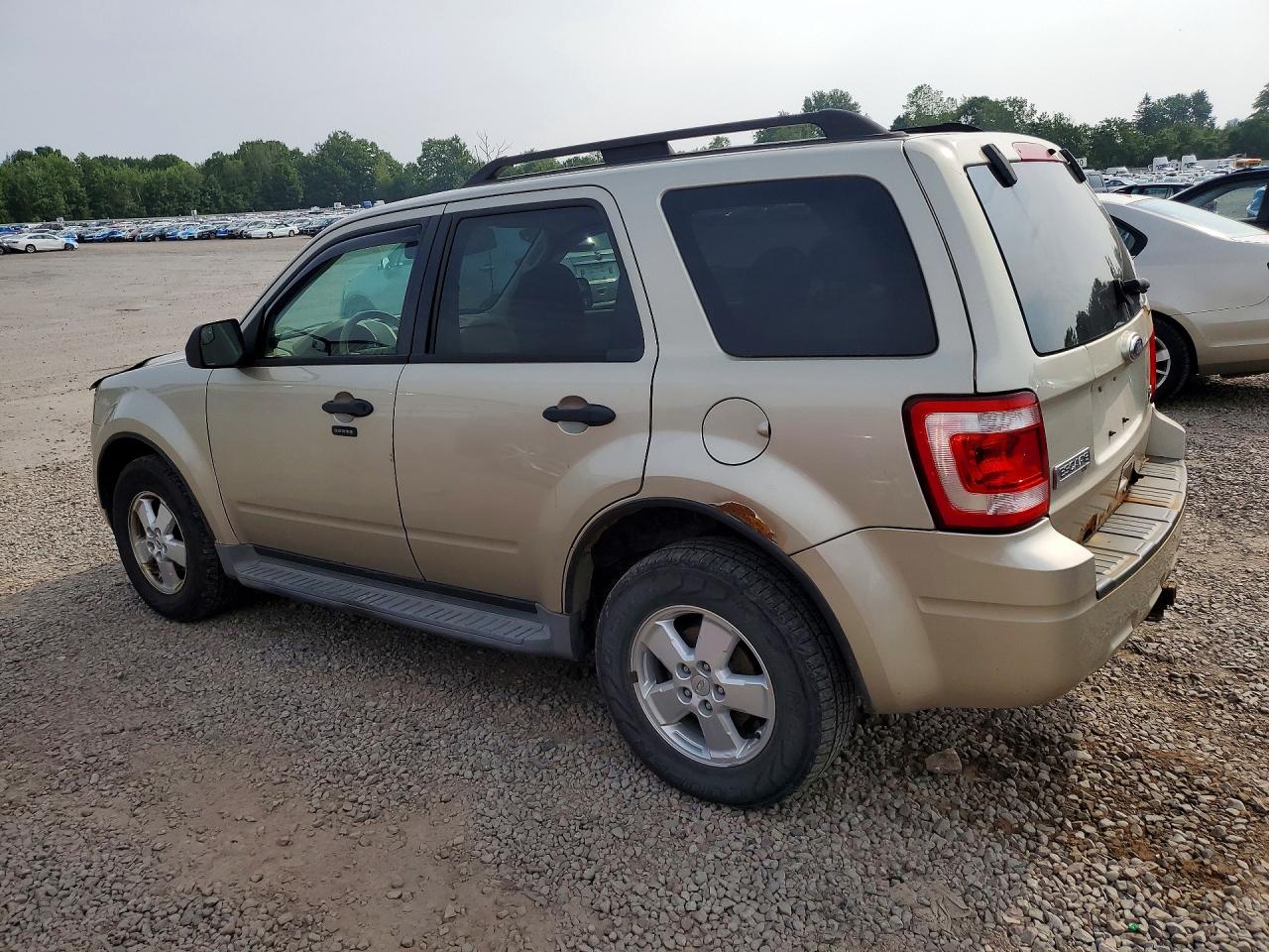 2011 Ford Escape Xlt Gold vin: 1FMCU9DG0BKA41275