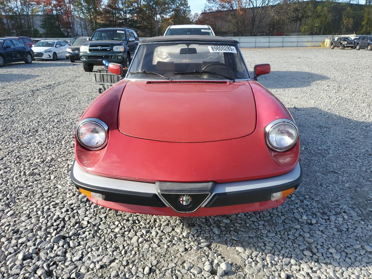1989 Alfa Romeo Spider Красный vin: 115410010453