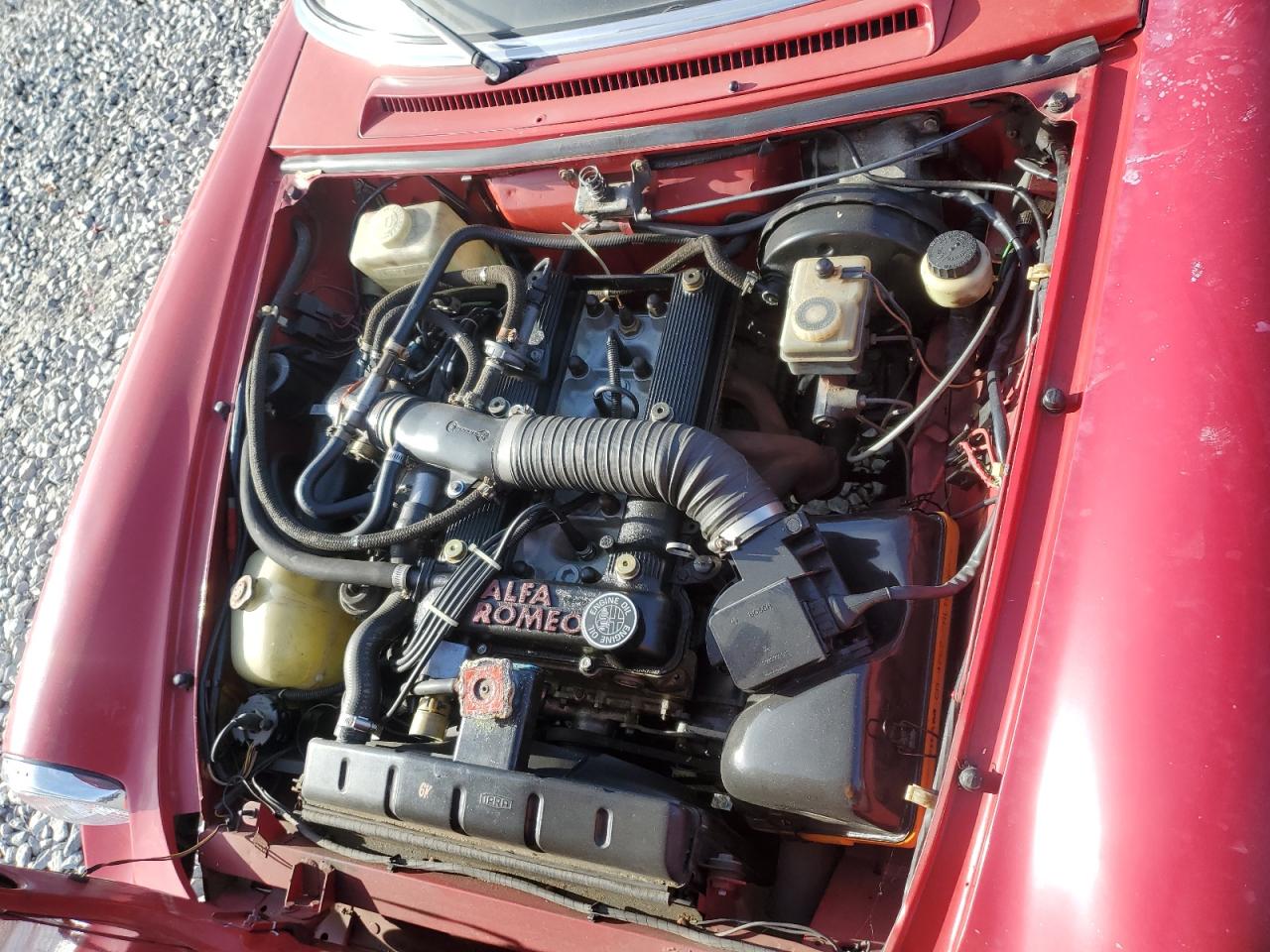 1989 Alfa Romeo Spider Красный vin: 115410010453
