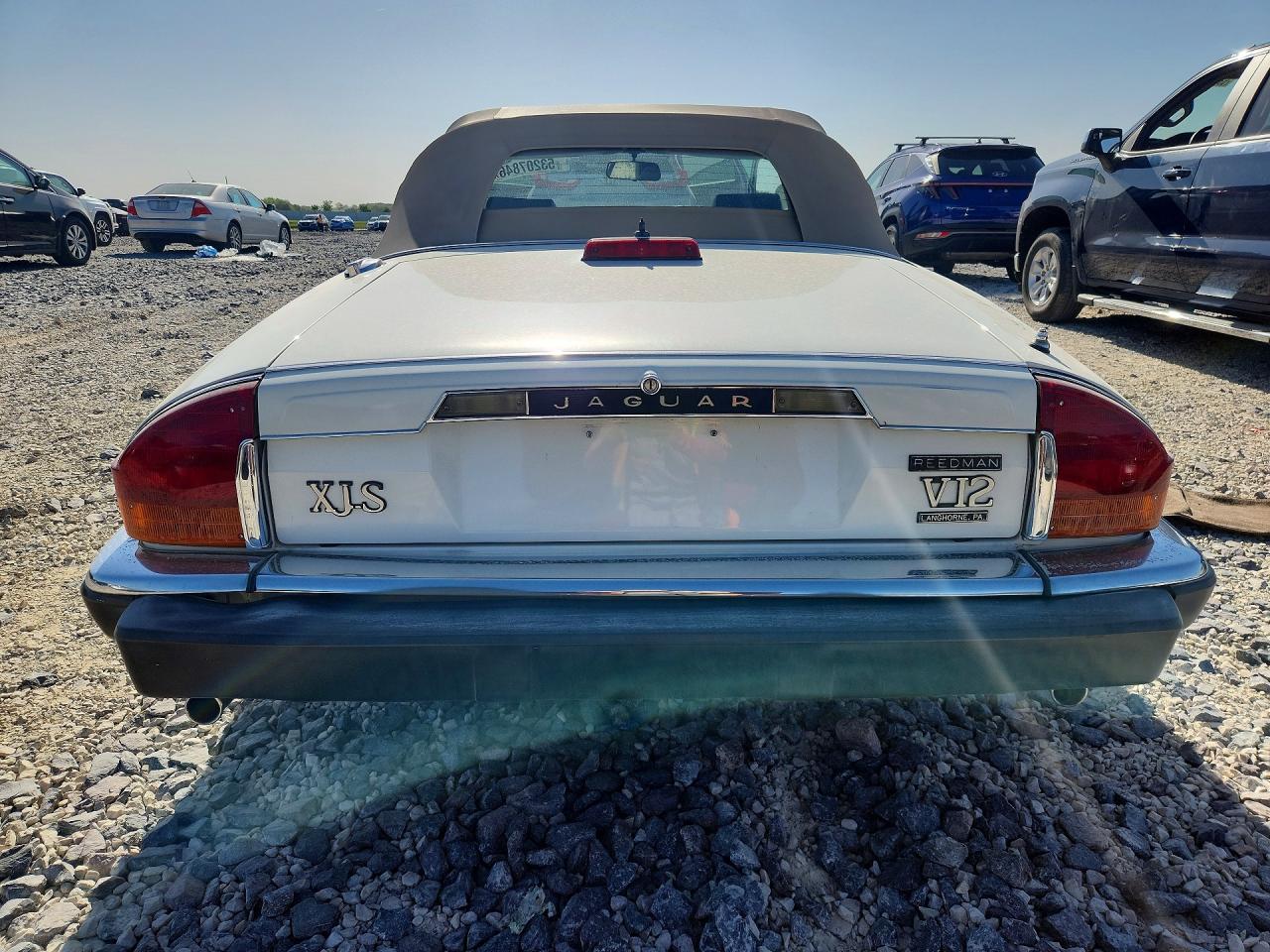 1988 Jaguar Xjs White vin: SAJNV5846JC144813