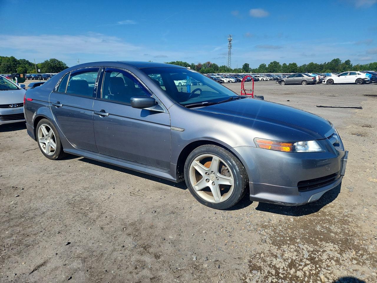 2006 Acura 3.2tl Gray vin: 19UUA66226A023357