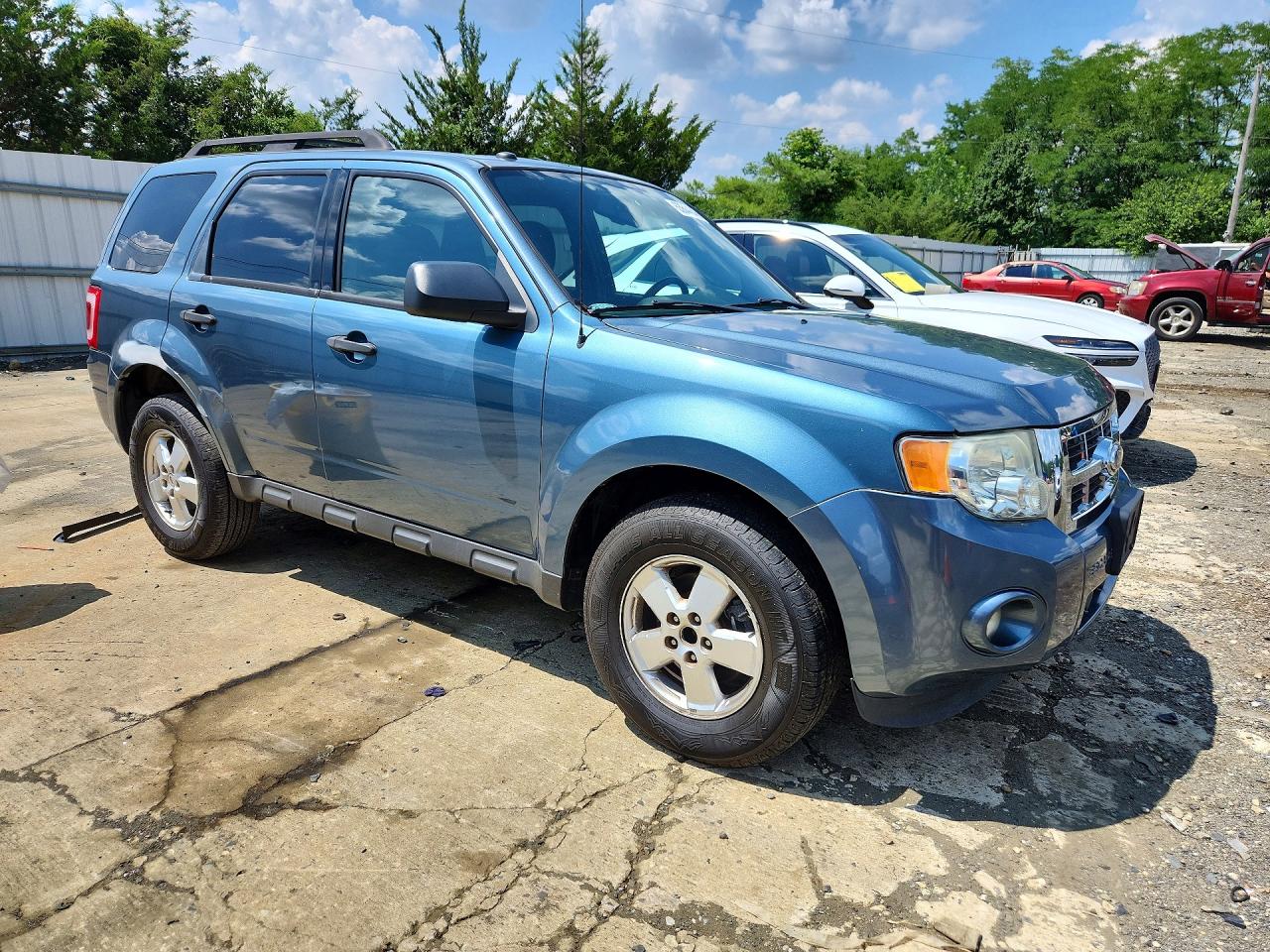 2011 Ford Escape Xlt Blue vin: 1FMCU9D71BKA30835