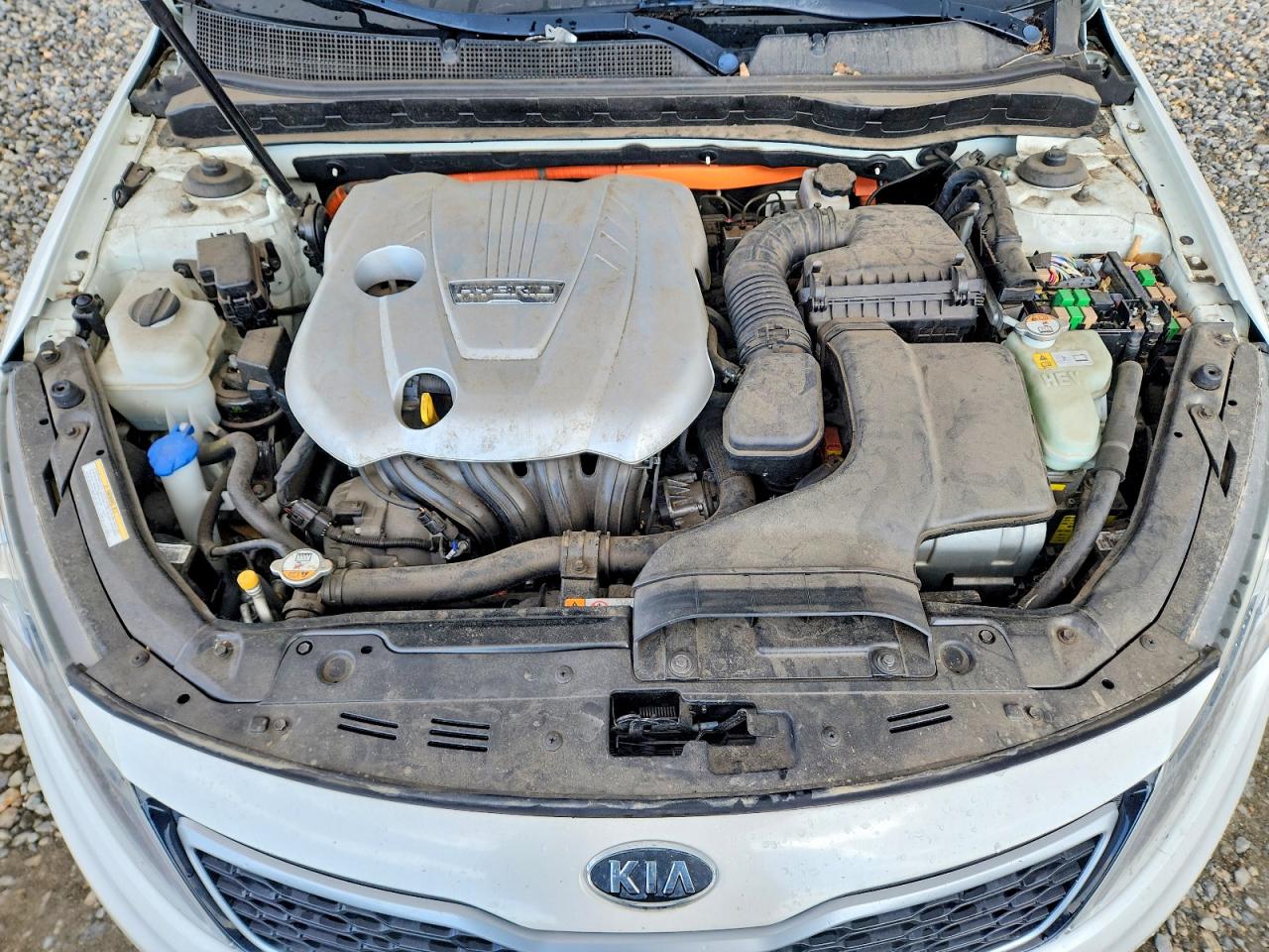 2012 Kia Optima Hybrid White vin: KNAGM4AD7C5020228