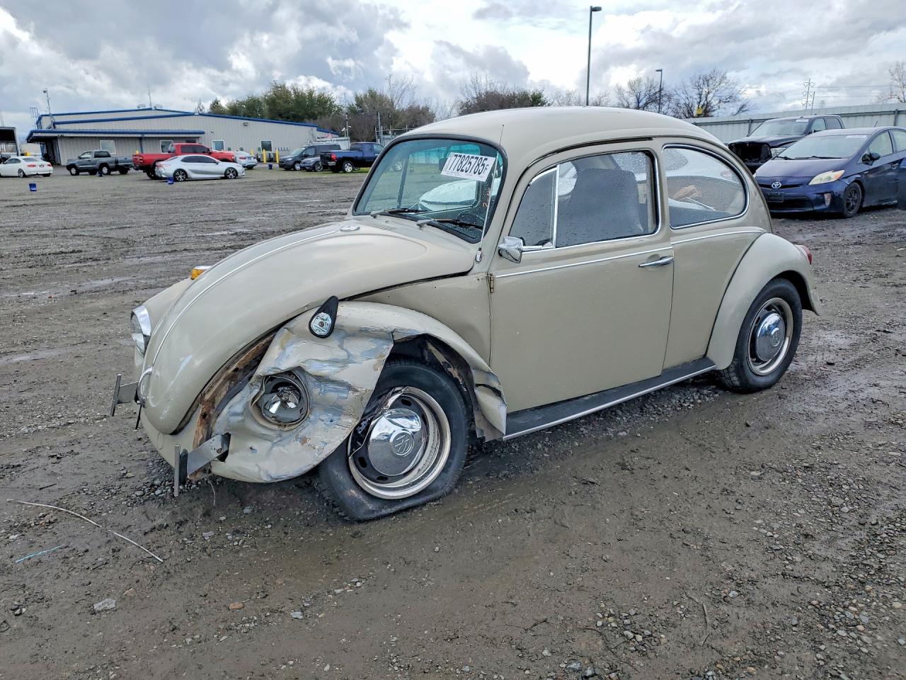 1969 Volkswagen Beetle Cream vin: 119010234