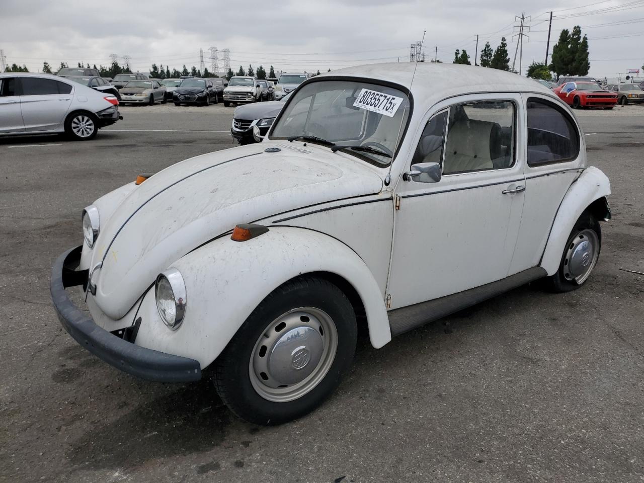 1969 Volkswagen Beetle White vin: 119510619