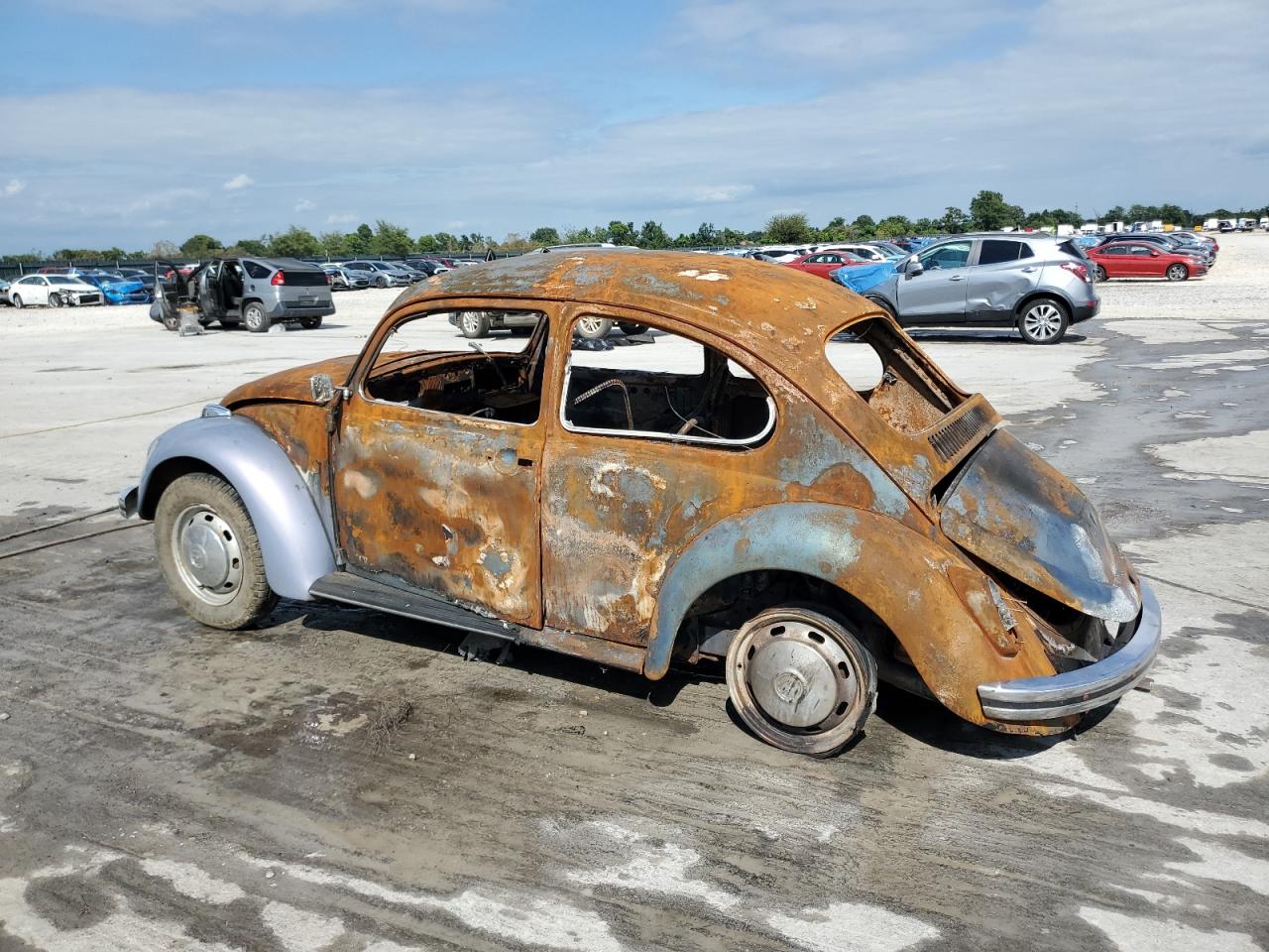 1969 Volkswagen Beetle Purple vin: 119673483