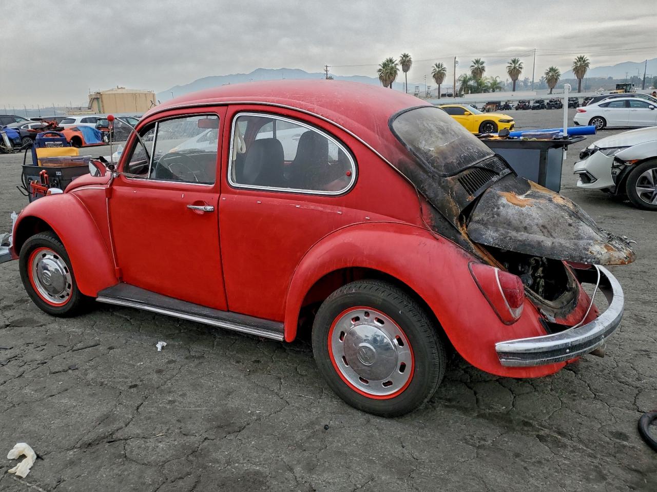 1969 Volkswagen Beetle Red vin: 119904040