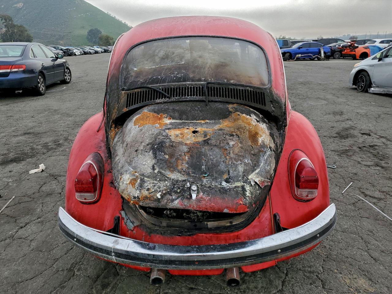 1969 Volkswagen Beetle Red vin: 119904040