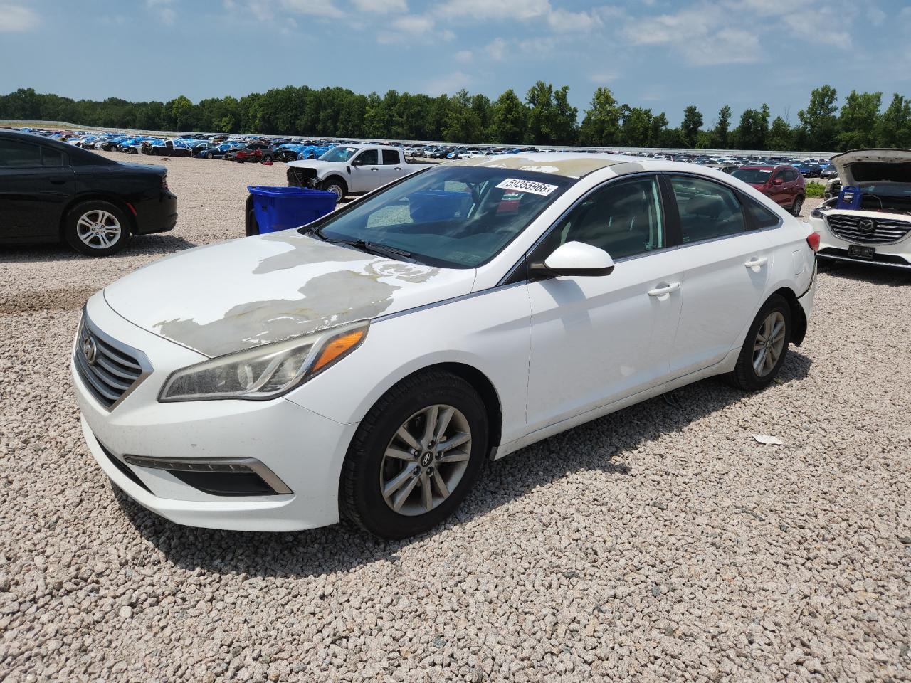 2015 Hyundai Sonata Se White vin: 5NPE24AF3FH034357