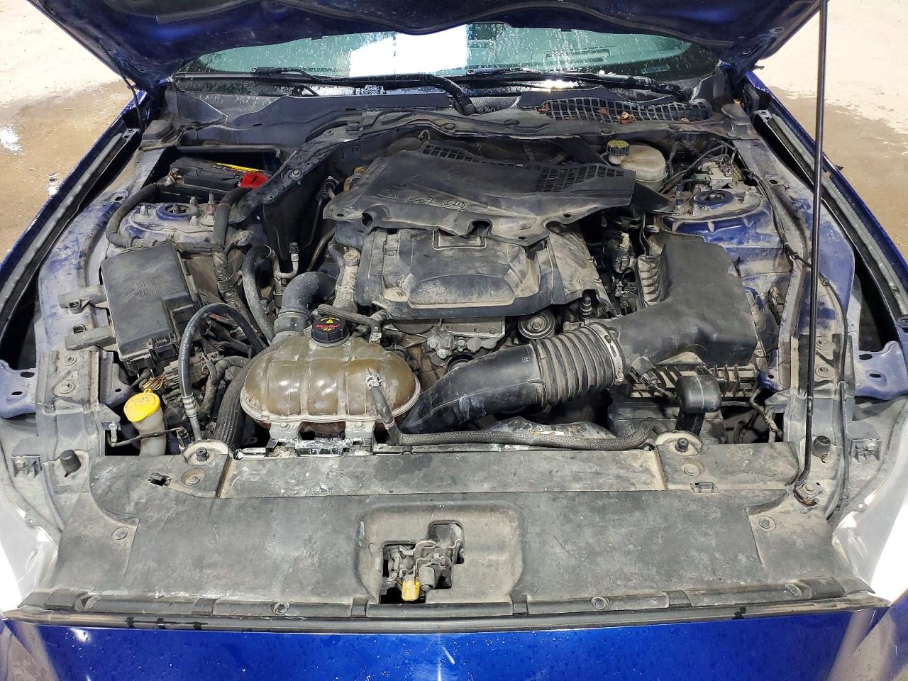 2015 Ford Mustang Blue vin: 1FA6P8TH0F5423331