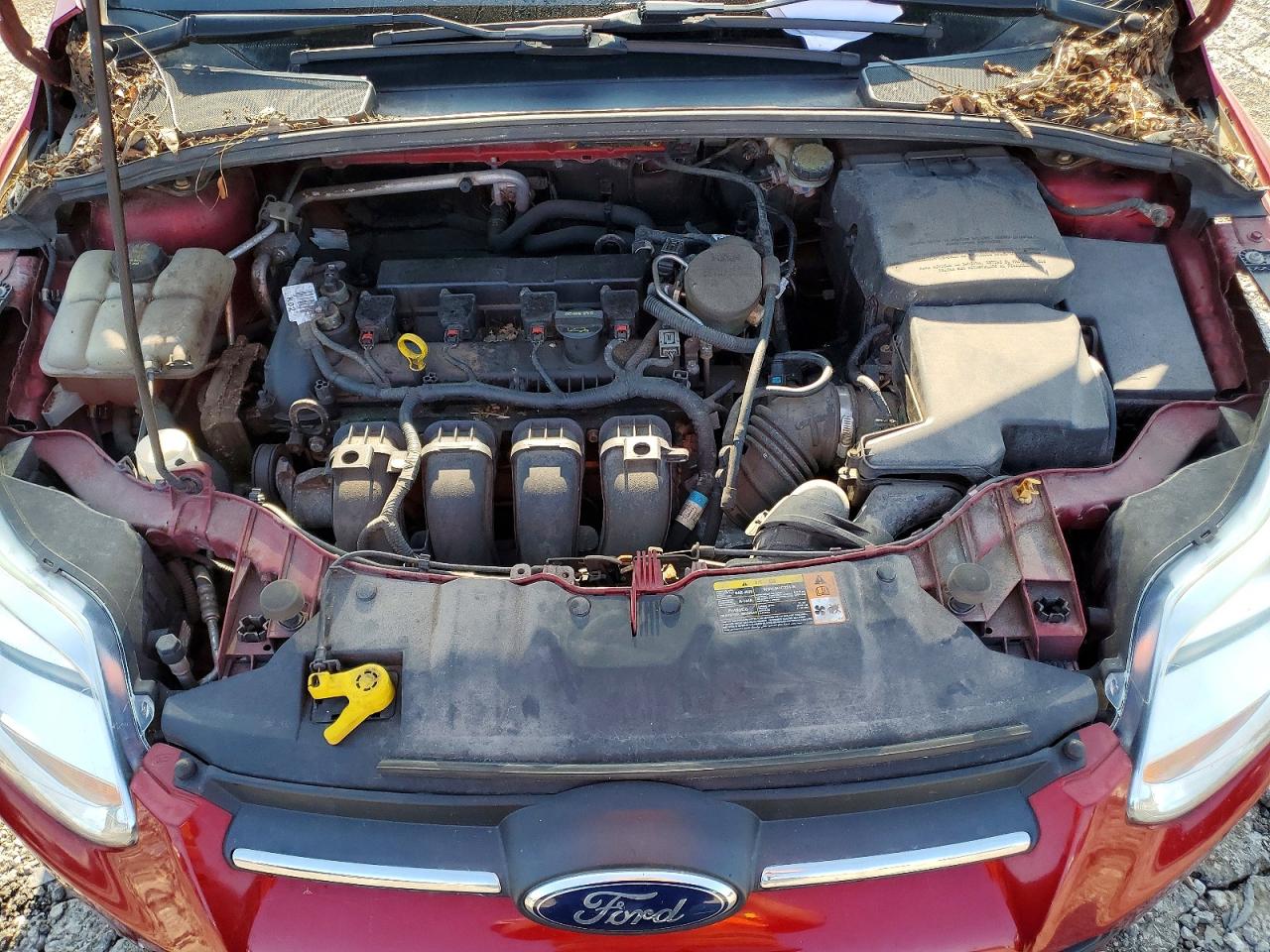 2014 Ford Focus Se Red vin: 1FADP3F21EL136382