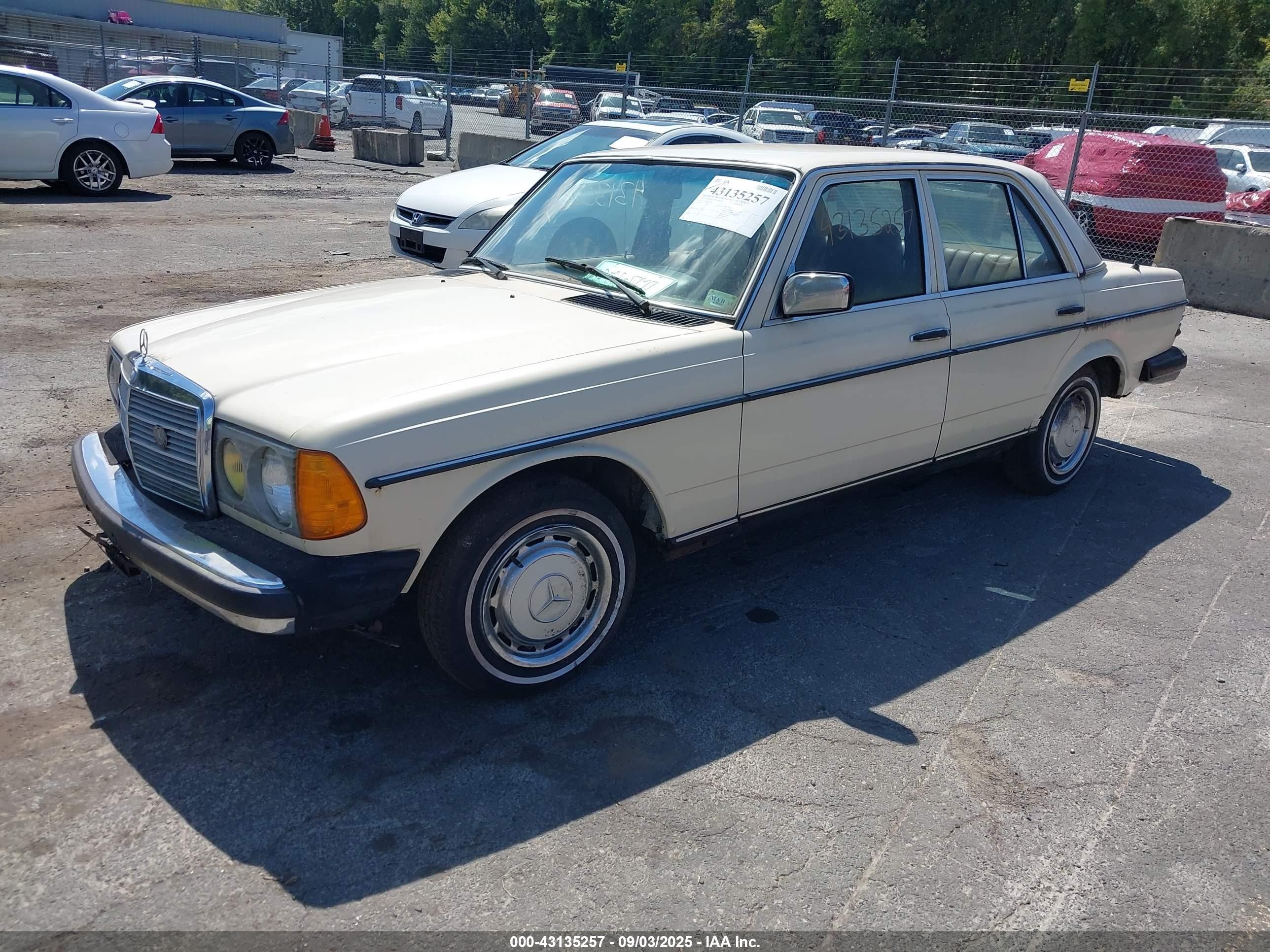 1979 Mercedes-benz 240d Series   Yellow vin: 12312312143662   