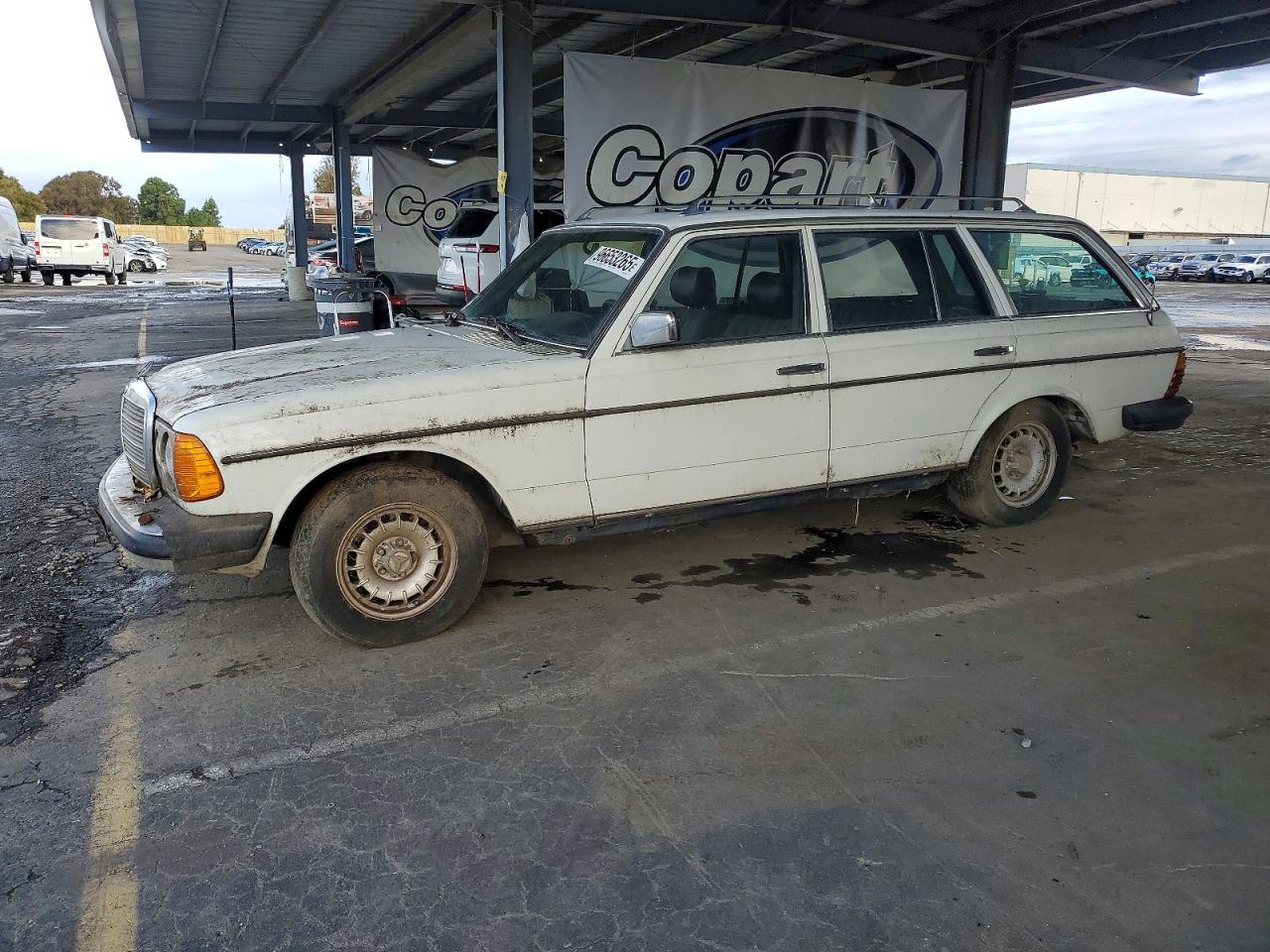 1980 Mercedes-benz 300 Белый vin: 12319012017308