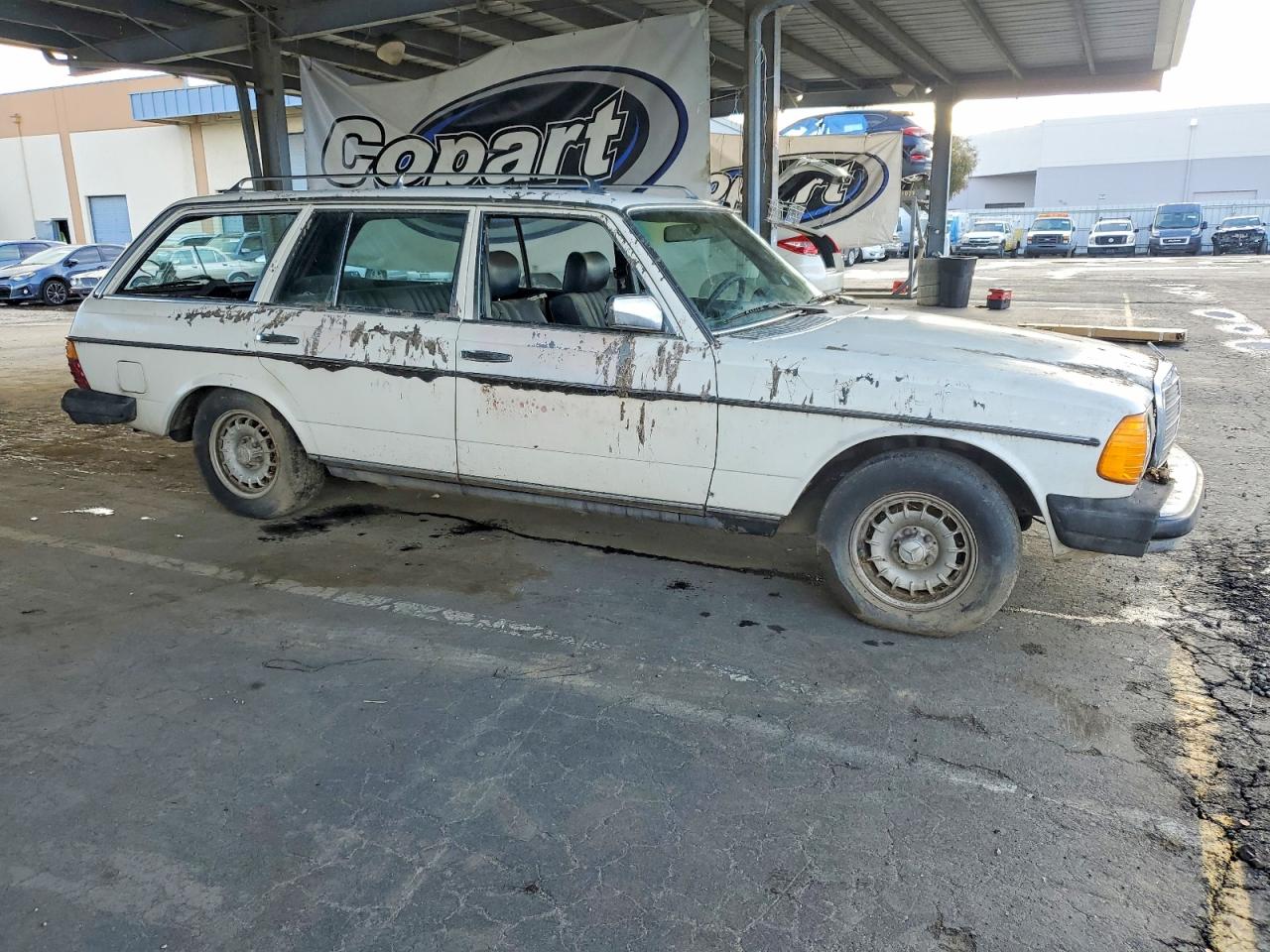 1980 Mercedes-benz 300 Белый vin: 12319012017308