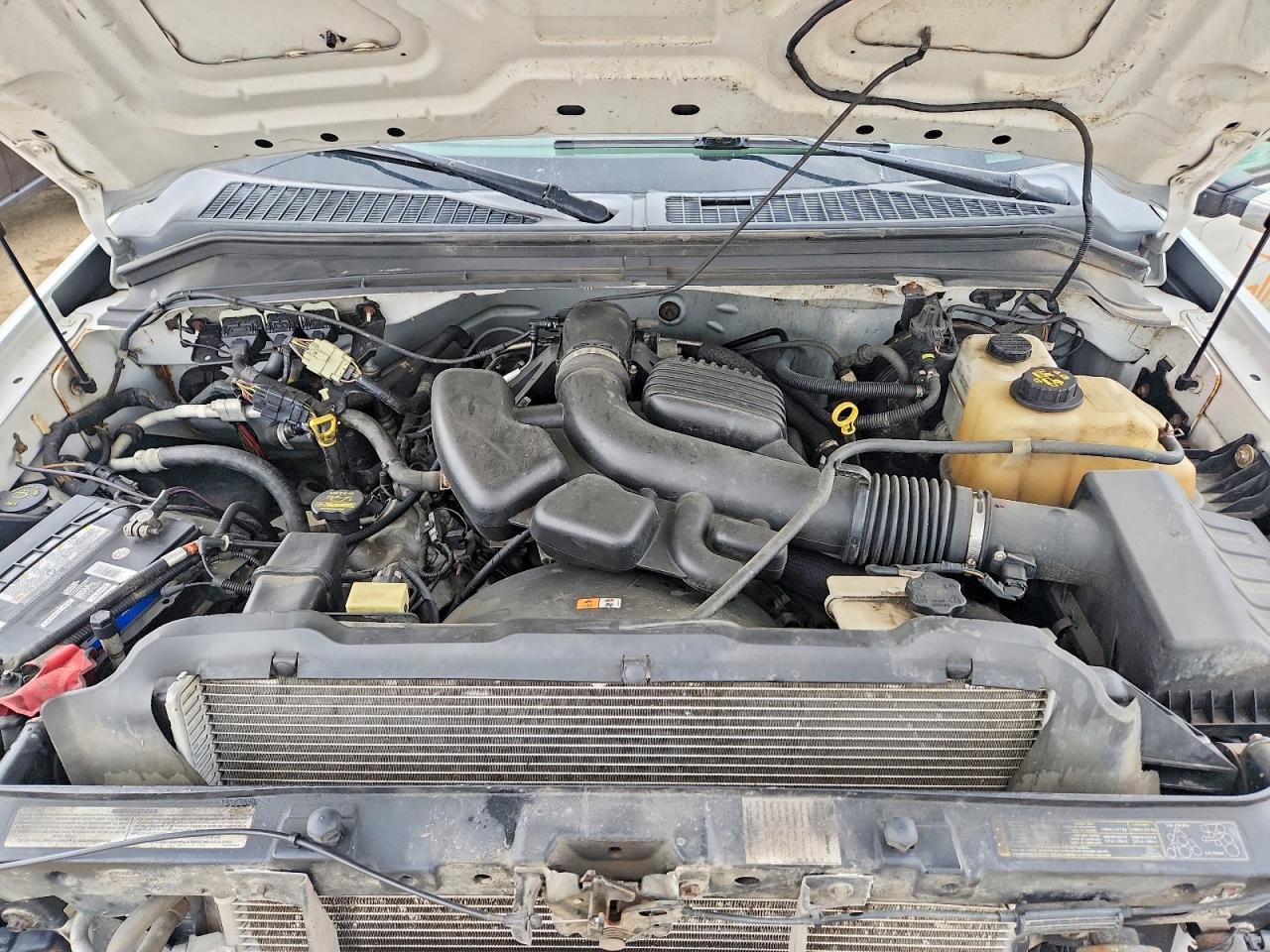 2009 Ford F250 Super Duty Белый vin: 1FTSX21599EA52348