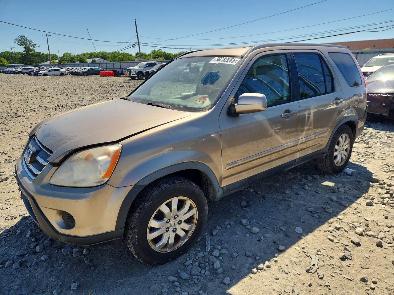 2006 Honda Cr-v Se Beige vin: JHLRD78966C034106
