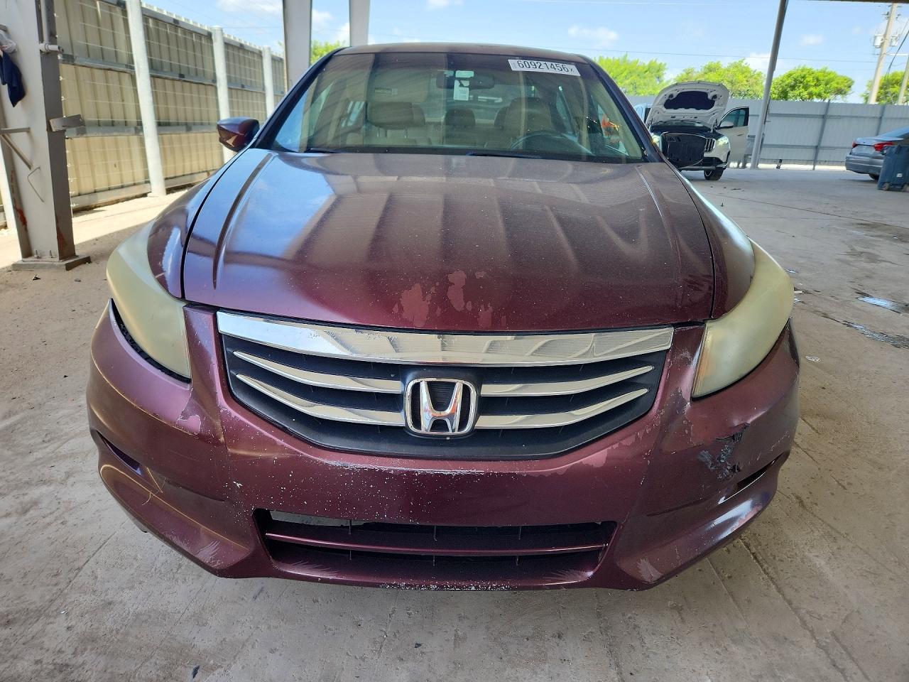 2011 Honda Accord Exl Burgundy vin: 1HGCP3F8XBA021797