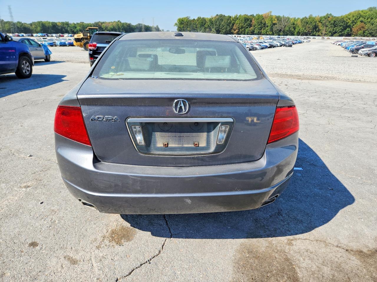 2004 Acura Tl Gray vin: 19UUA66264A073126