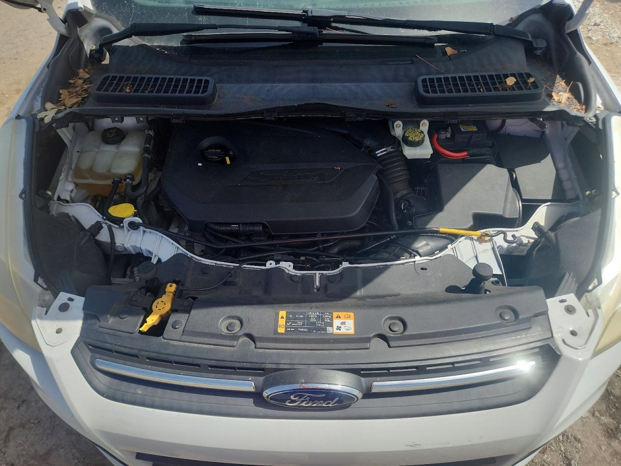 2014 Ford Escape Se White vin: 1FMCU0GX8EUB76696