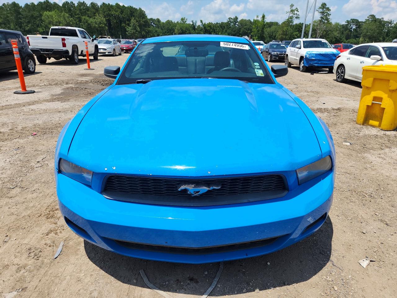 2010 Ford Mustang Blue vin: 1ZVBP8AN9A5165169
