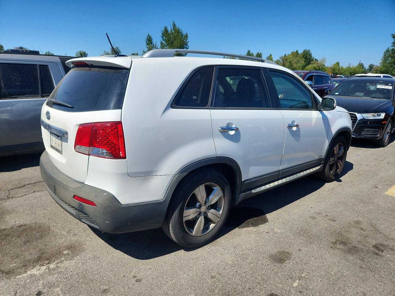 2013 Kia Sorento Ex White vin: 5XYKUDA63DG344901