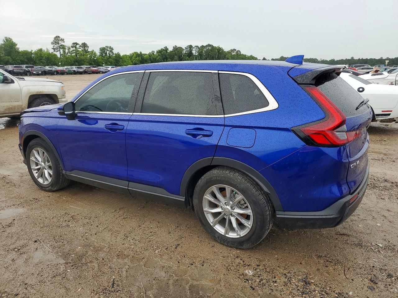 2025 Honda Cr-v Exl Синий vin: 2HKRS3H73SH306037