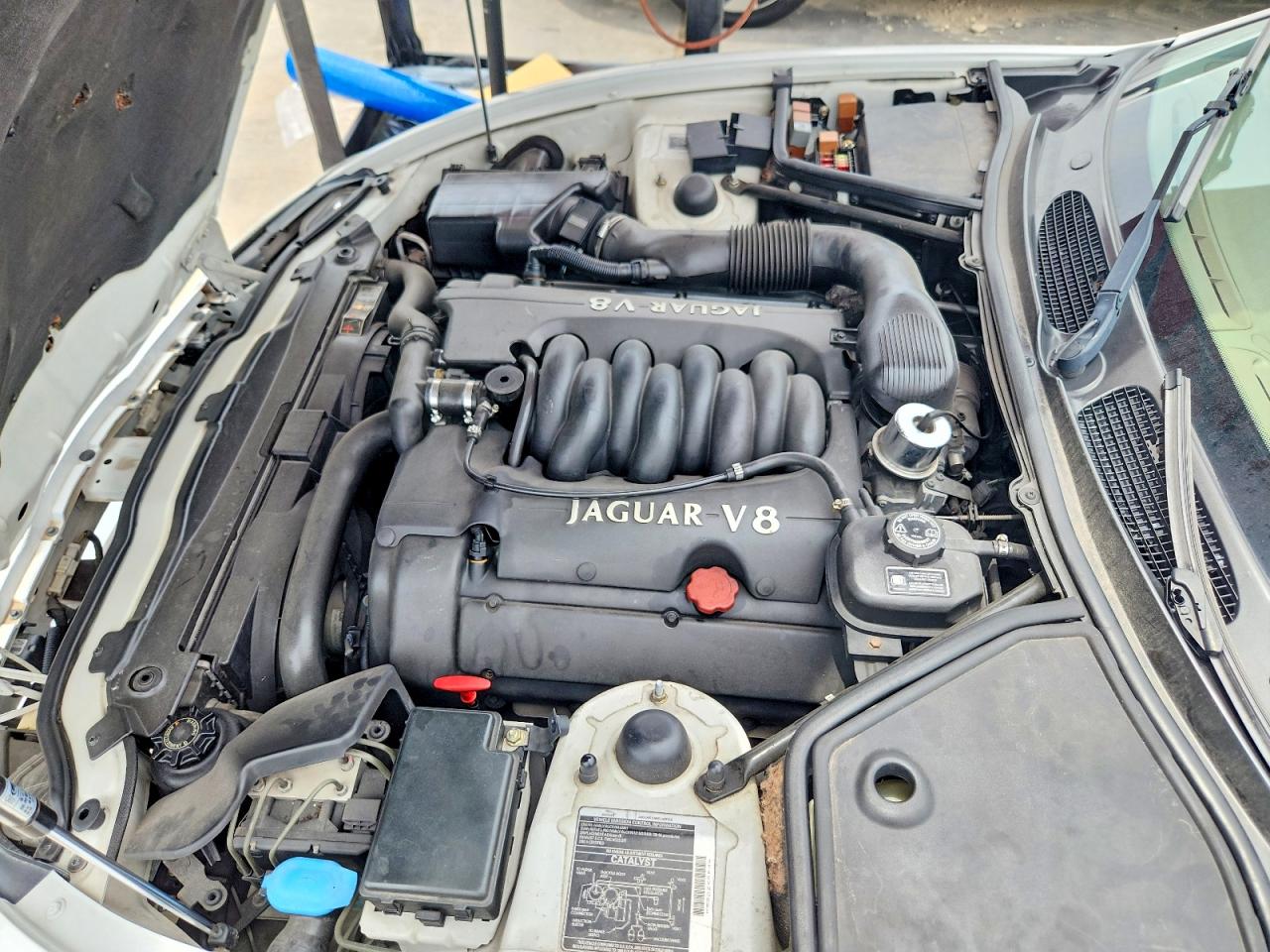 1998 Jaguar Xk8 Белый vin: SAJGX224XWC026944