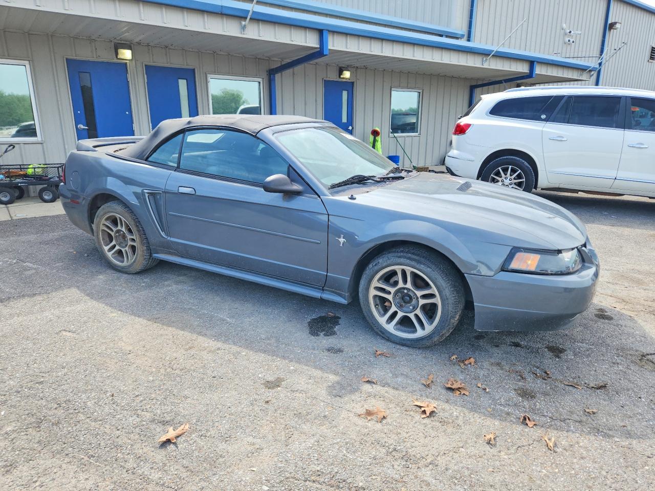 2000 Ford Mustang Gray vin: 1FAFP4444YF281096