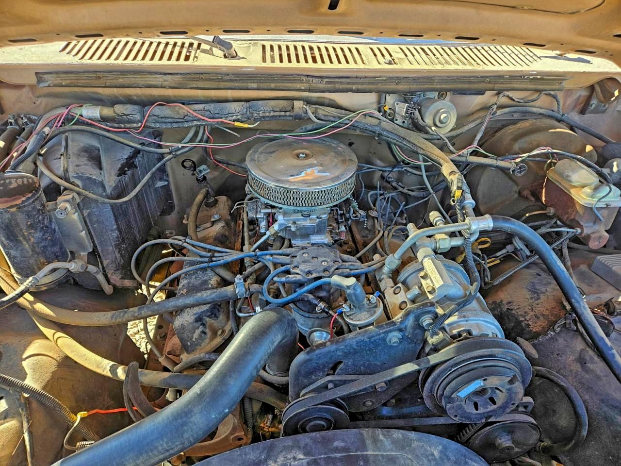 1983 Ford Bronco U100 Двухцветный vin: 1FMEU15G6DLA00090