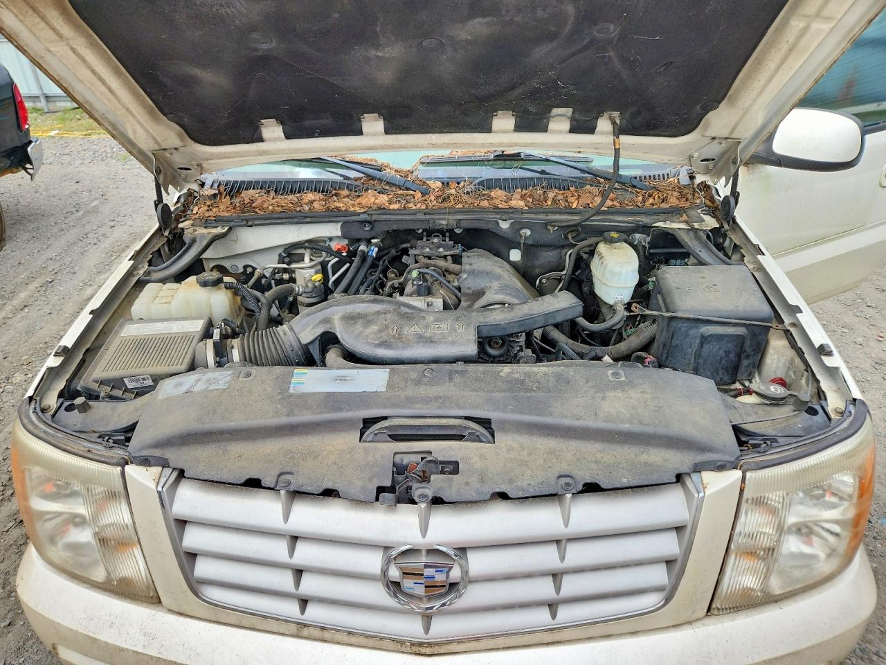 2005 Cadillac Escalade Luxury White vin: 1GYEC63N15R258144