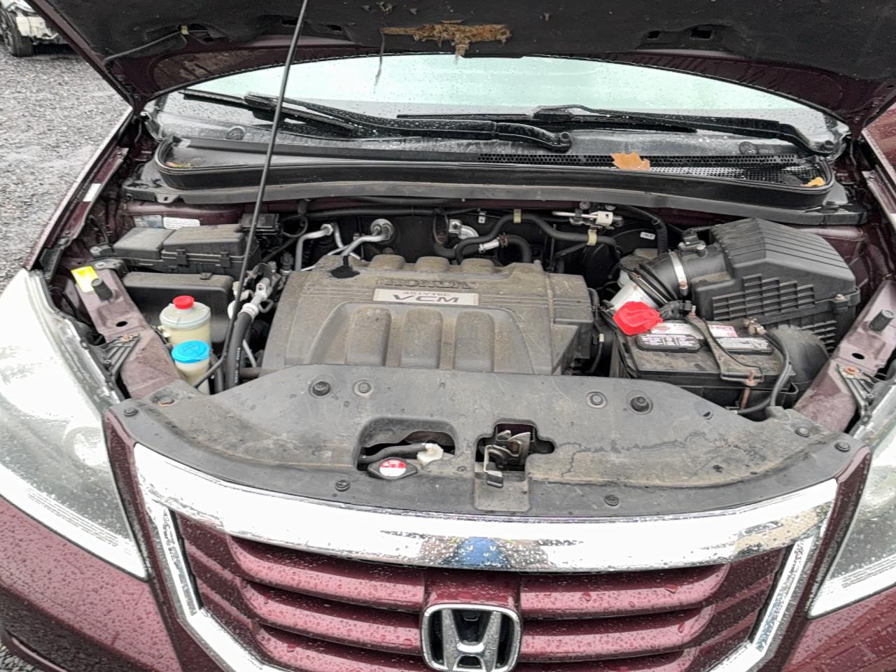2010 Honda Odyssey Exl Burgundy vin: 5FNRL3H68AB013106