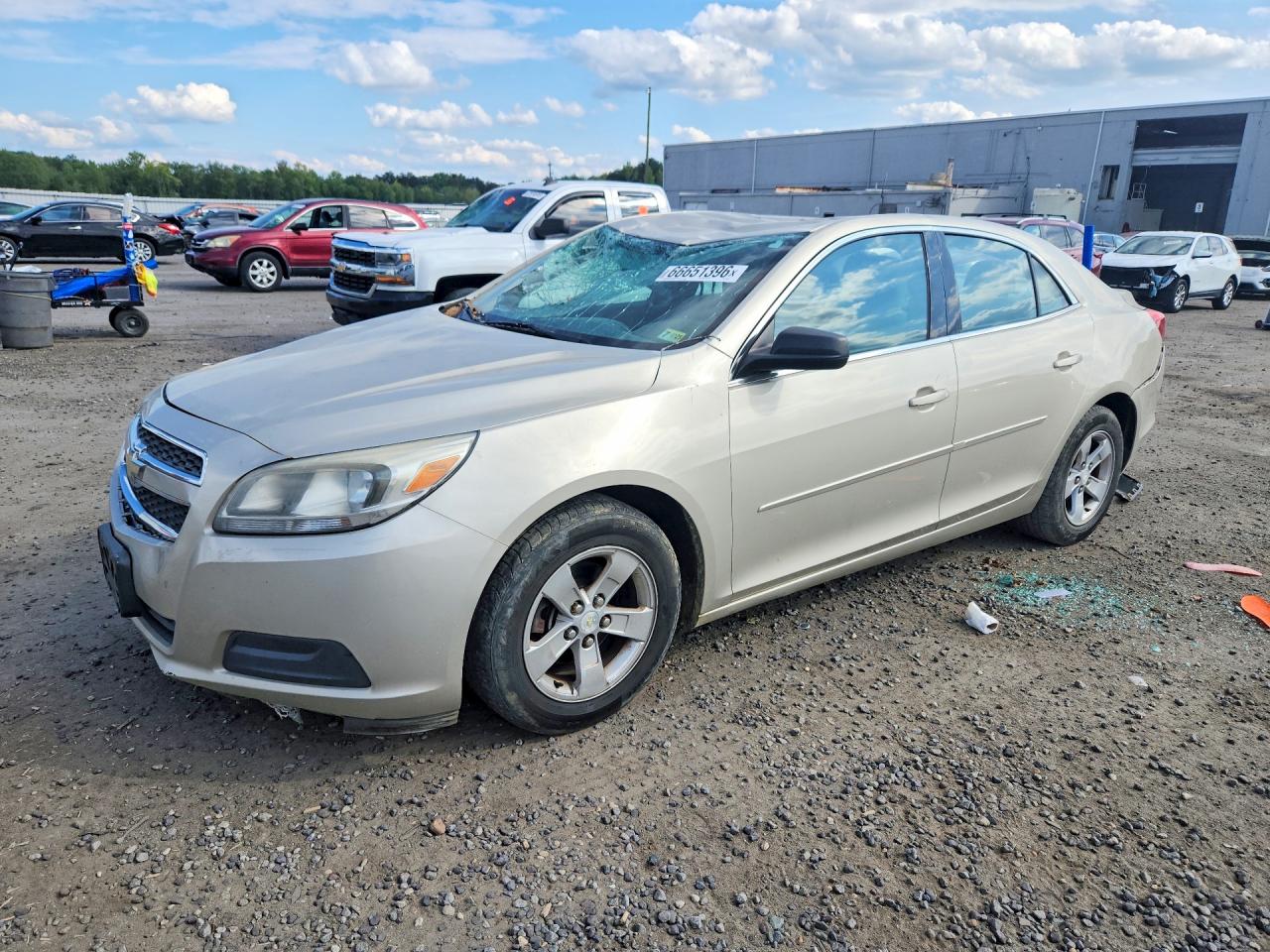 2013 Chevrolet Malibu Ls Tan vin: 1G11B5SA6DF188990